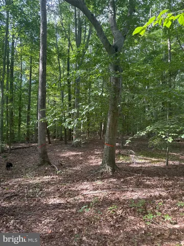 $225,000 | 0 Boston Cliff Road, Easton, MD 21601