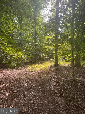 $225,000 | 0 Boston Cliff Road, Easton, MD 21601