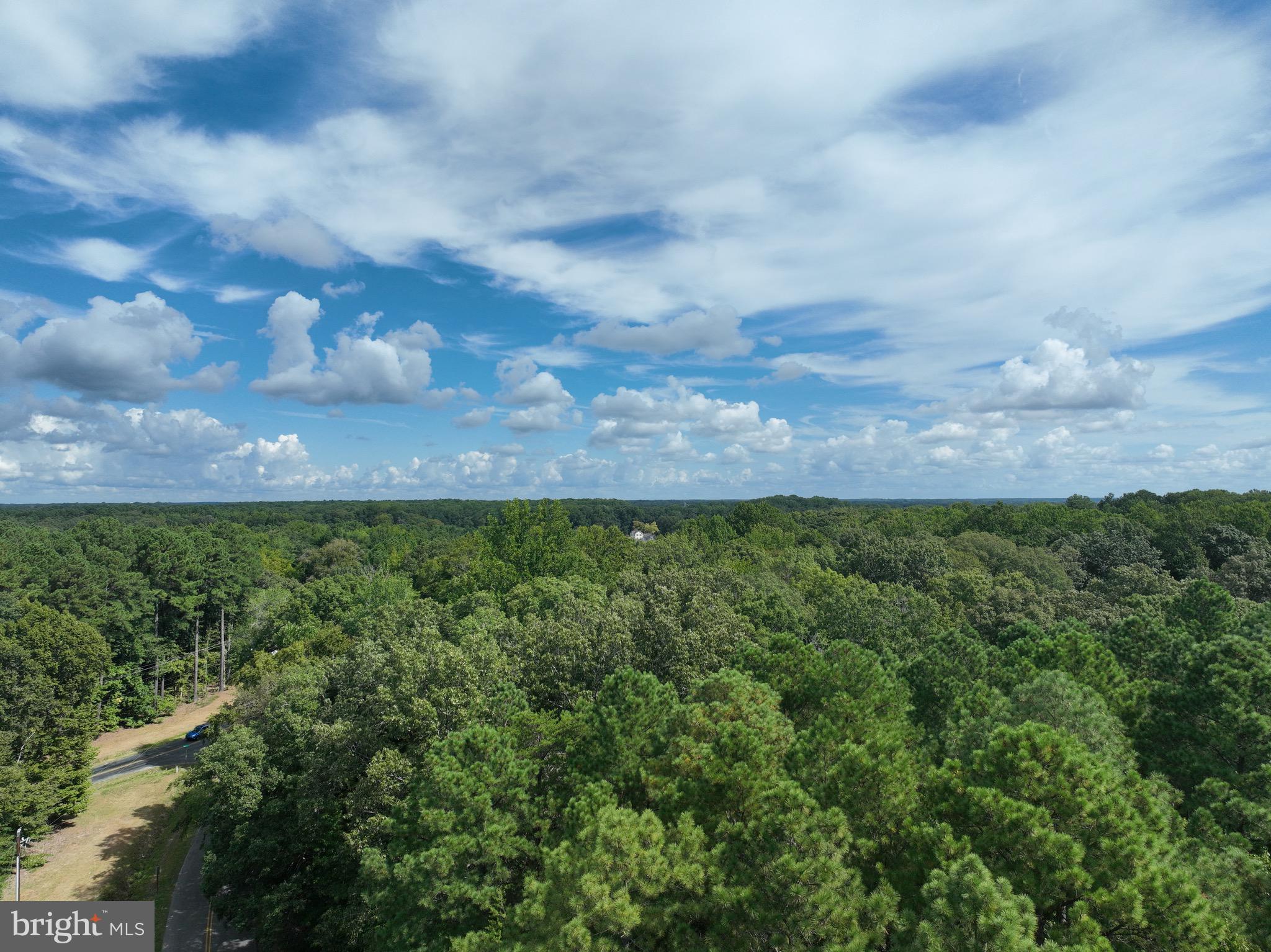 0 Boston Cliff Road Easton, MD 21601 - Photo 7 of 64