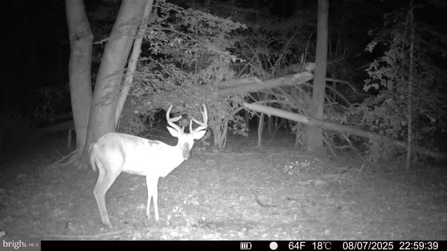 a view of a city and mountains in the background