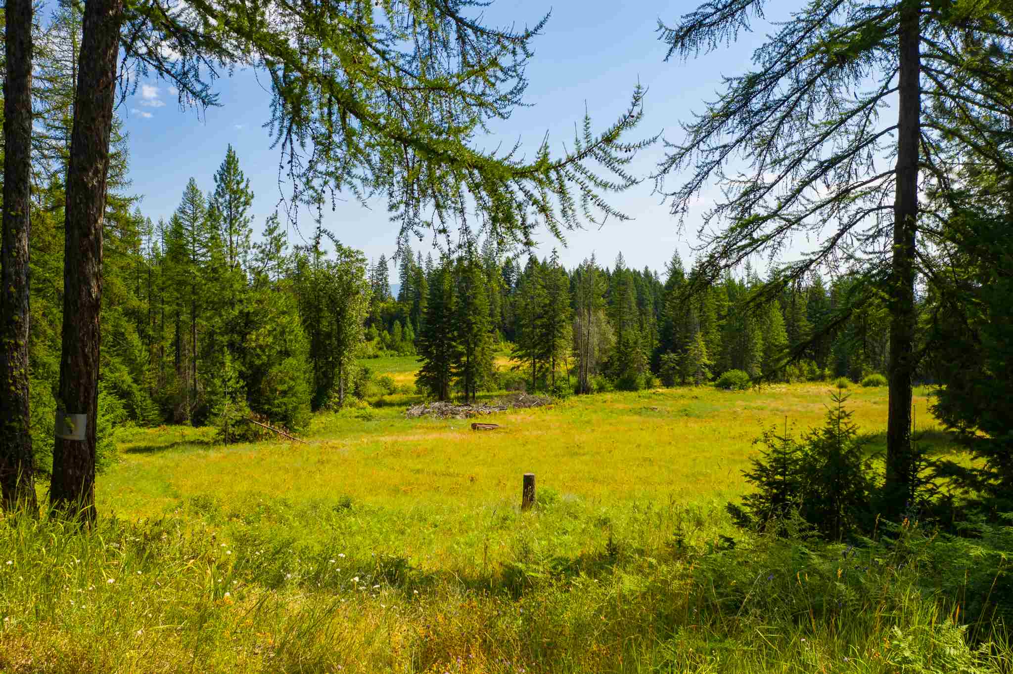 4819 Luther Road Springdale, WA 99173 - Photo 8 of 49