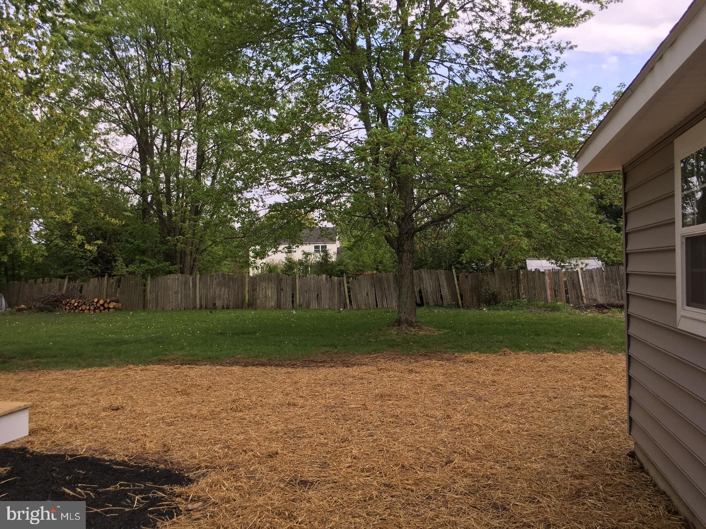 5442 Stump Road Pipersville, PA 18947 - Photo 17 of 18 Back Yard