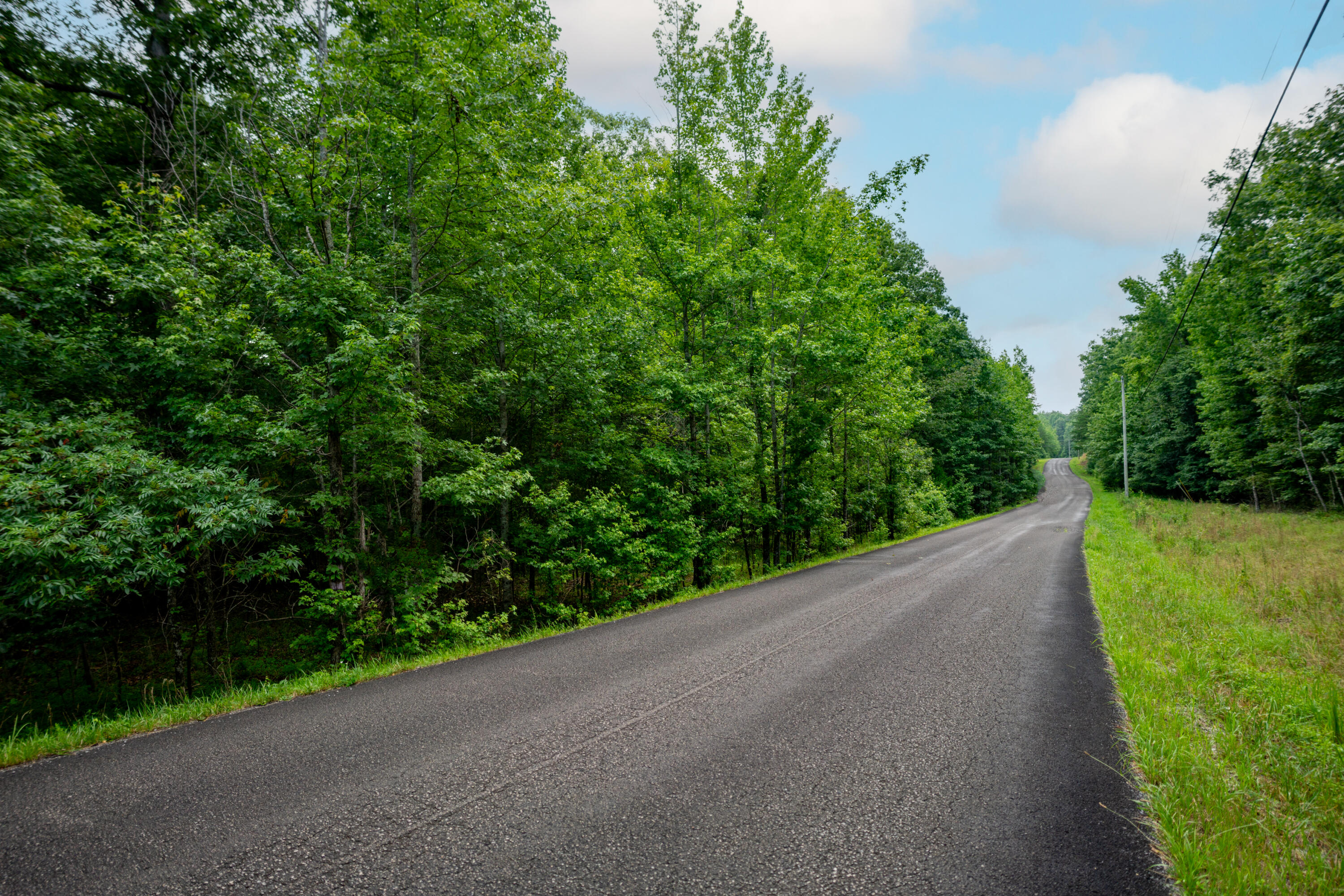 0 Jackson Point Road, Unit 16 Sewanee, TN 37375 - Photo 12 of 20 _DSC1983-Edit