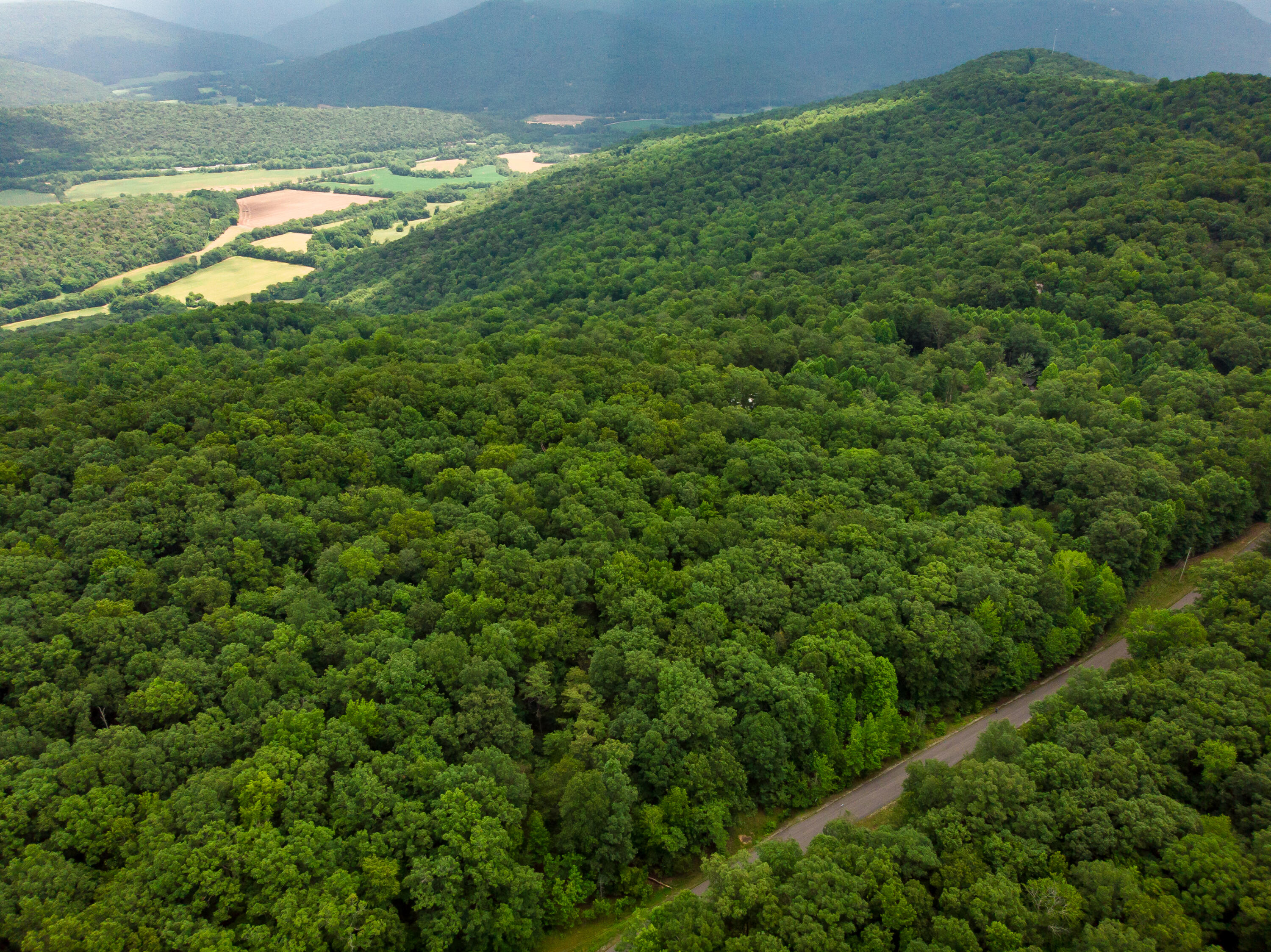 0 Jackson Point Road, Unit 16 Sewanee, TN 37375 - Photo 13 of 20 DJI_0359-Edit