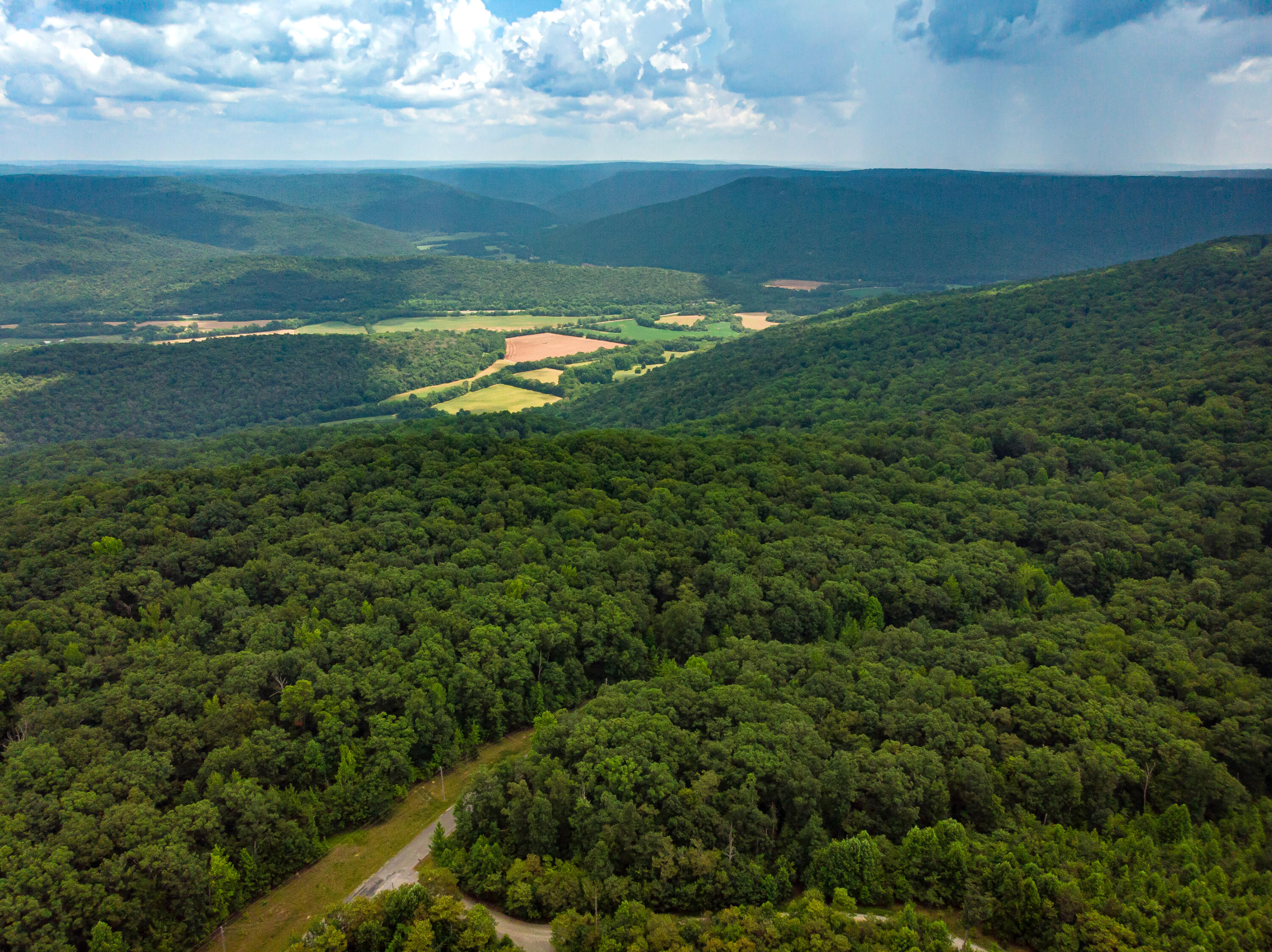 0 Jackson Point Road, Unit 16 Sewanee, TN 37375 - Photo 14 of 20 DJI_0362