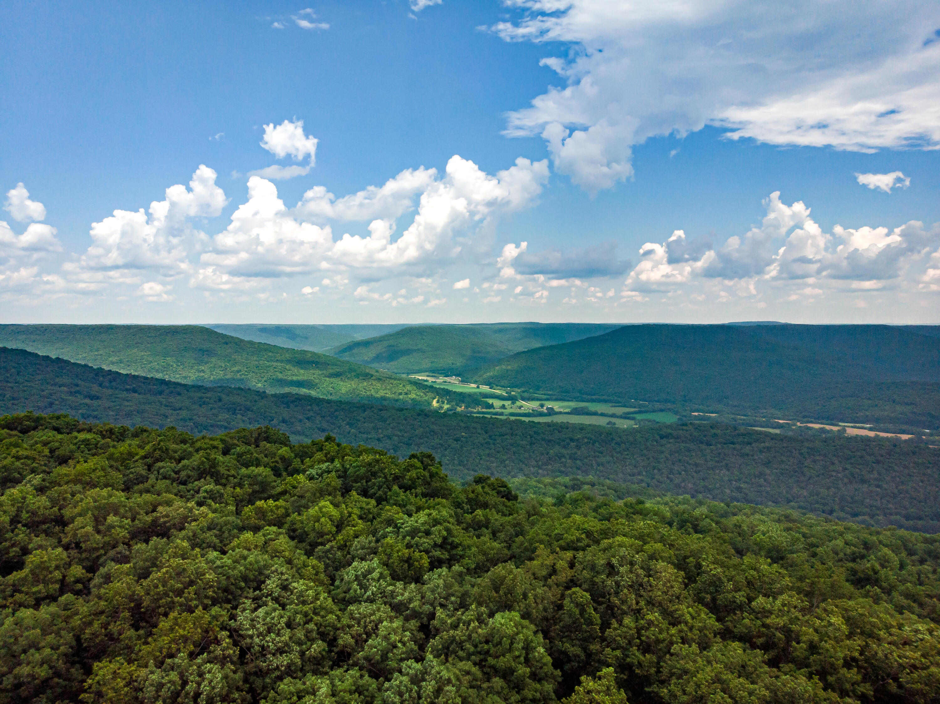 0 Jackson Point Road, Unit 16 Sewanee, TN 37375 - Photo 17 of 20 DJI_0376
