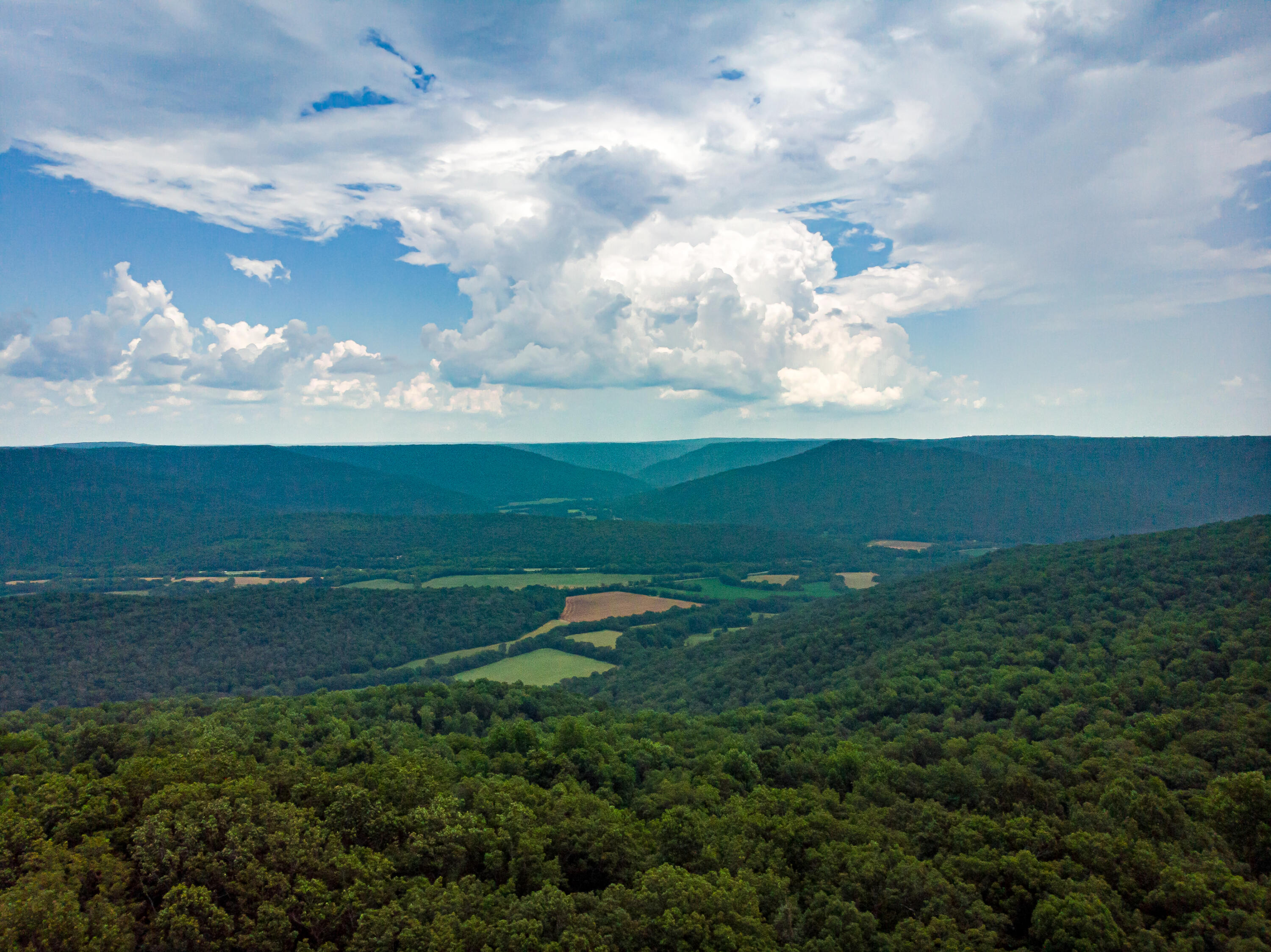 0 Jackson Point Road, Unit 16 Sewanee, TN 37375 - Photo 18 of 20 DJI_0378