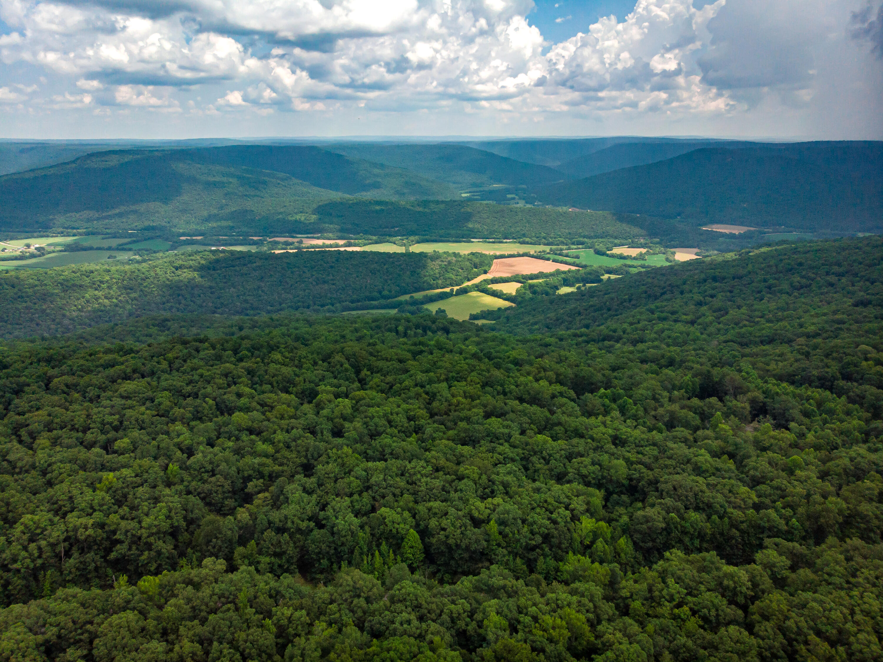 0 Jackson Point Road, Unit 16 Sewanee, TN 37375 - Photo 2 of 20 DJI_0364