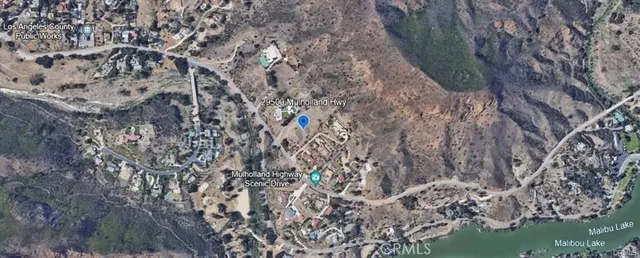 a view of a forest with a tree