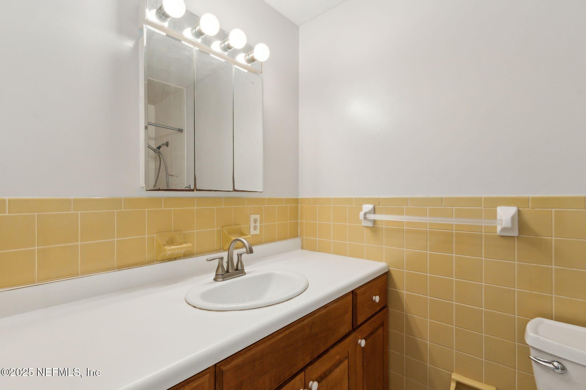 234 Hawthorne Road St. Augustine, FL 32086 - Photo 25 of 29 a bathroom with a sink a toilet and a mirror