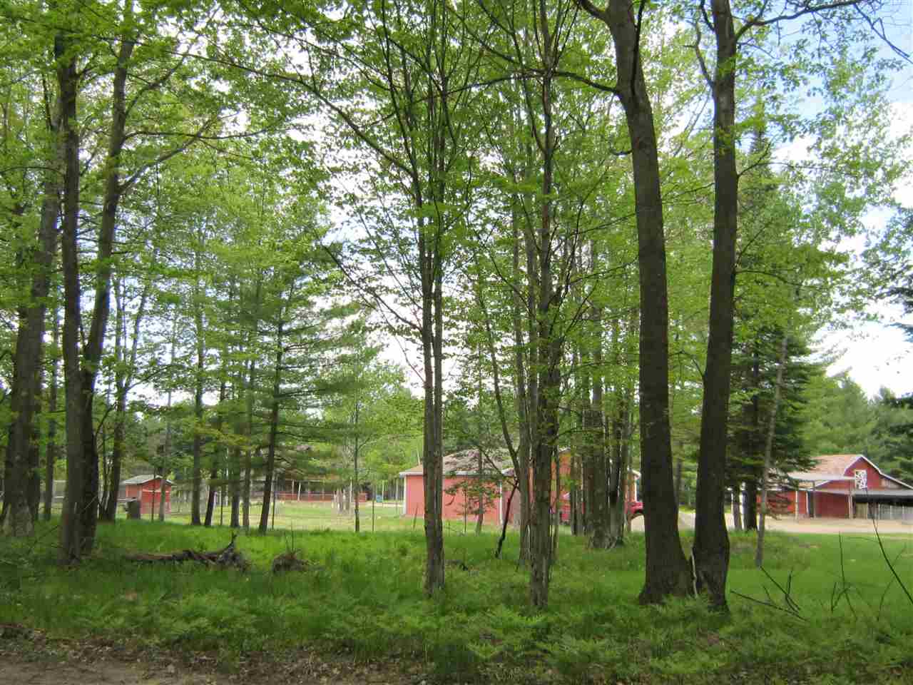 2900 Bass Lake Road Lupton, MI 48635 - Photo 7 of 86 1887746-6.JPG