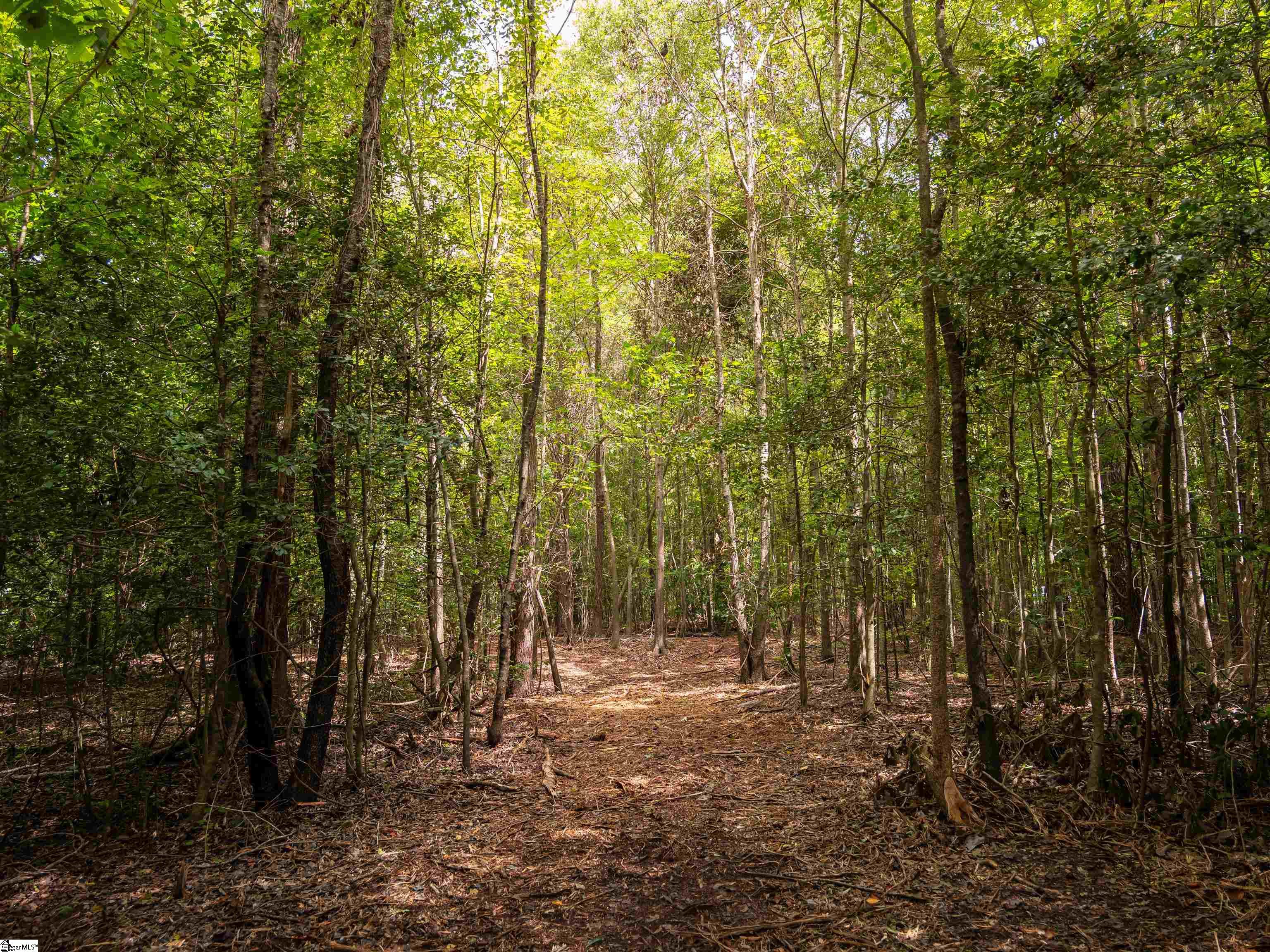 0 Pinetree Road Townville, SC 29689 - Photo 11 of 14