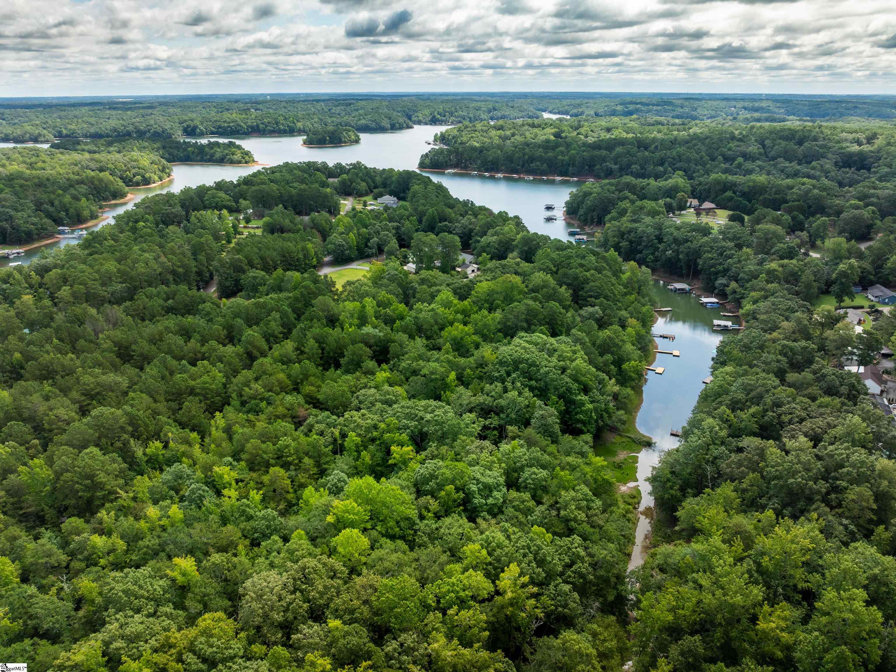 0 Pinetree Road Townville, SC 29689 - Photo 14 of 14