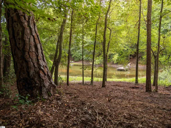 $669,999 | 0 Pinetree Road, Townville, SC 29689