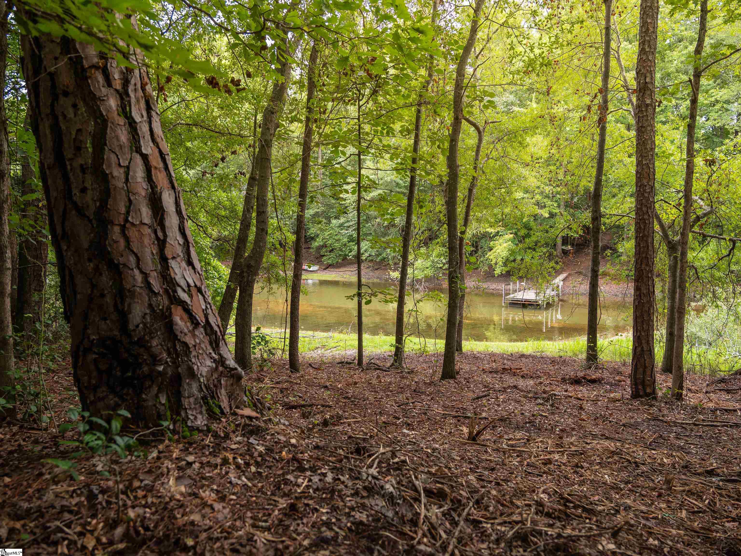 0 Pinetree Road Townville, SC 29689 - Photo 4 of 14