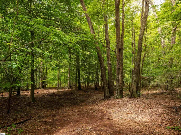 $669,999 | 0 Pinetree Road, Townville, SC 29689