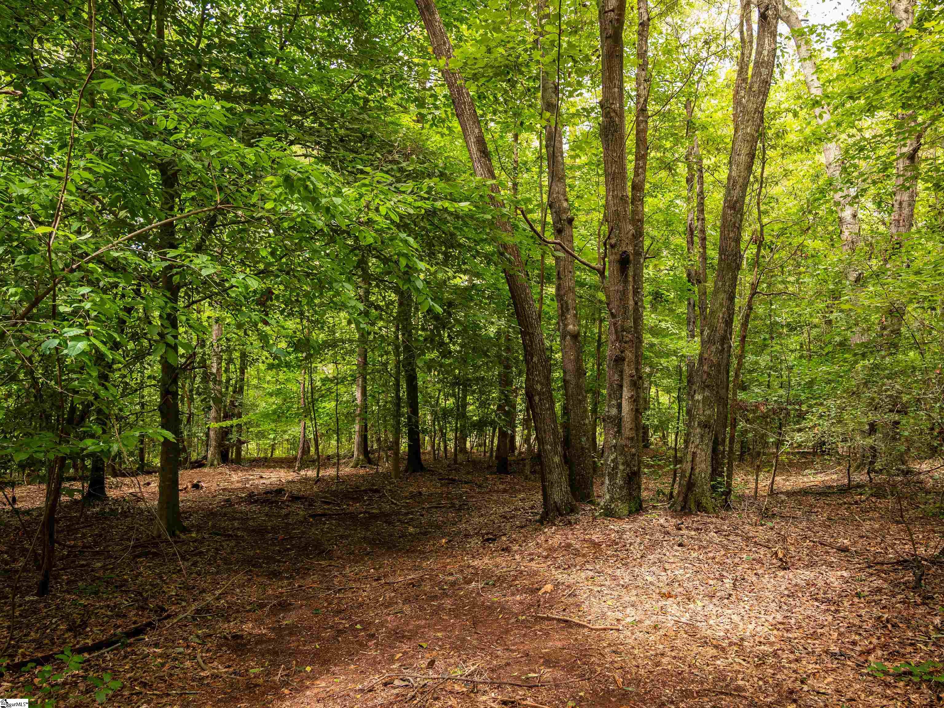 0 Pinetree Road Townville, SC 29689 - Photo 5 of 14