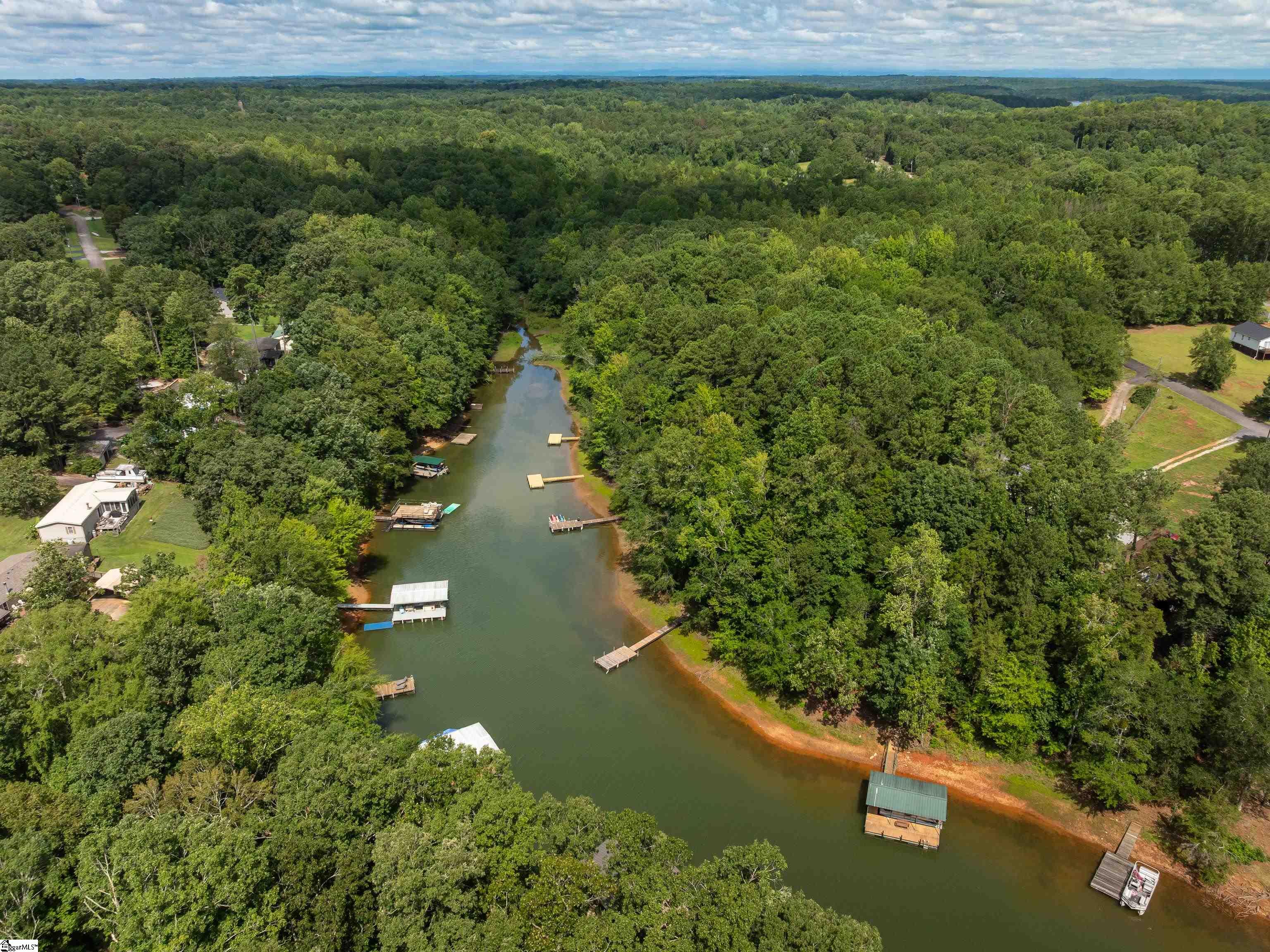 0 Pinetree Road Townville, SC 29689 - Photo 8 of 14