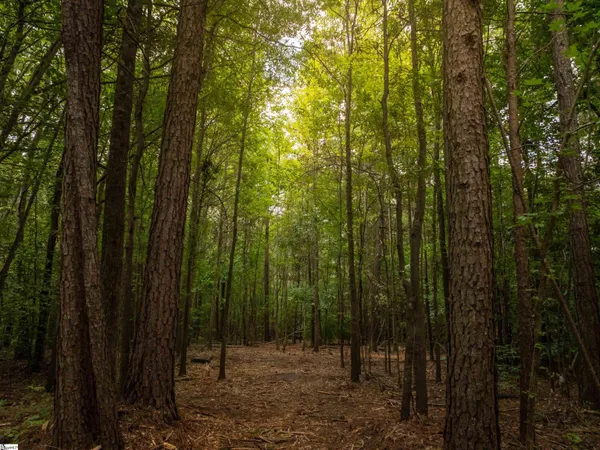 $669,999 | 0 Pinetree Road, Townville, SC 29689