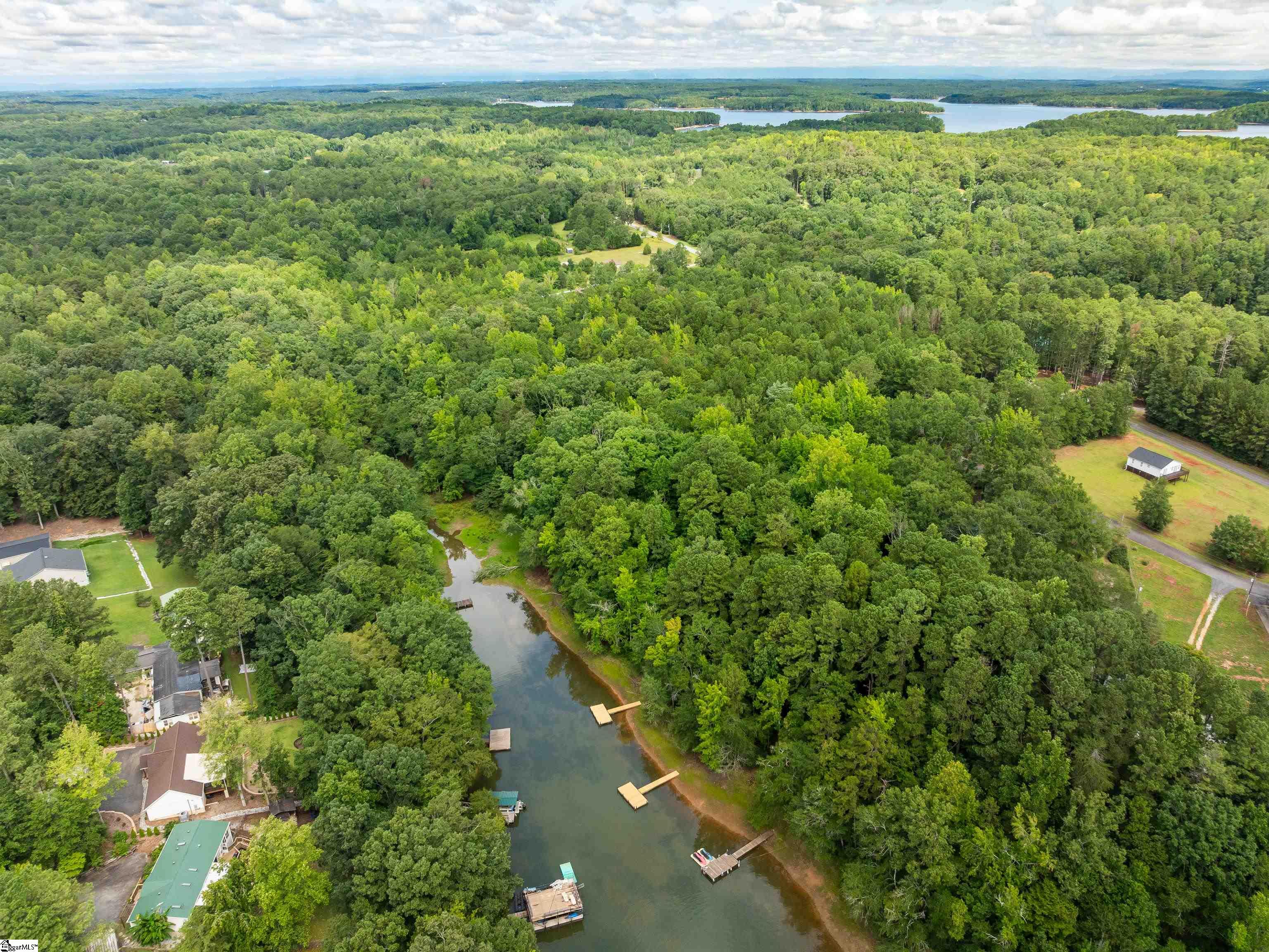 0 Pinetree Road Townville, SC 29689 - Photo 10 of 14