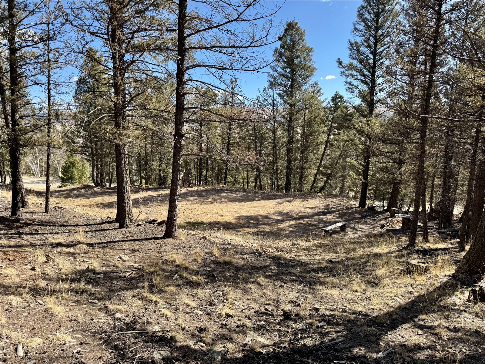 2403 Redhill Road Fairplay, CO 80440 - Photo 4 of 18 a view of outdoor space with trees