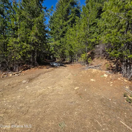 $45,750 | 0 Adams Creek Road, Fernwood, ID 83830