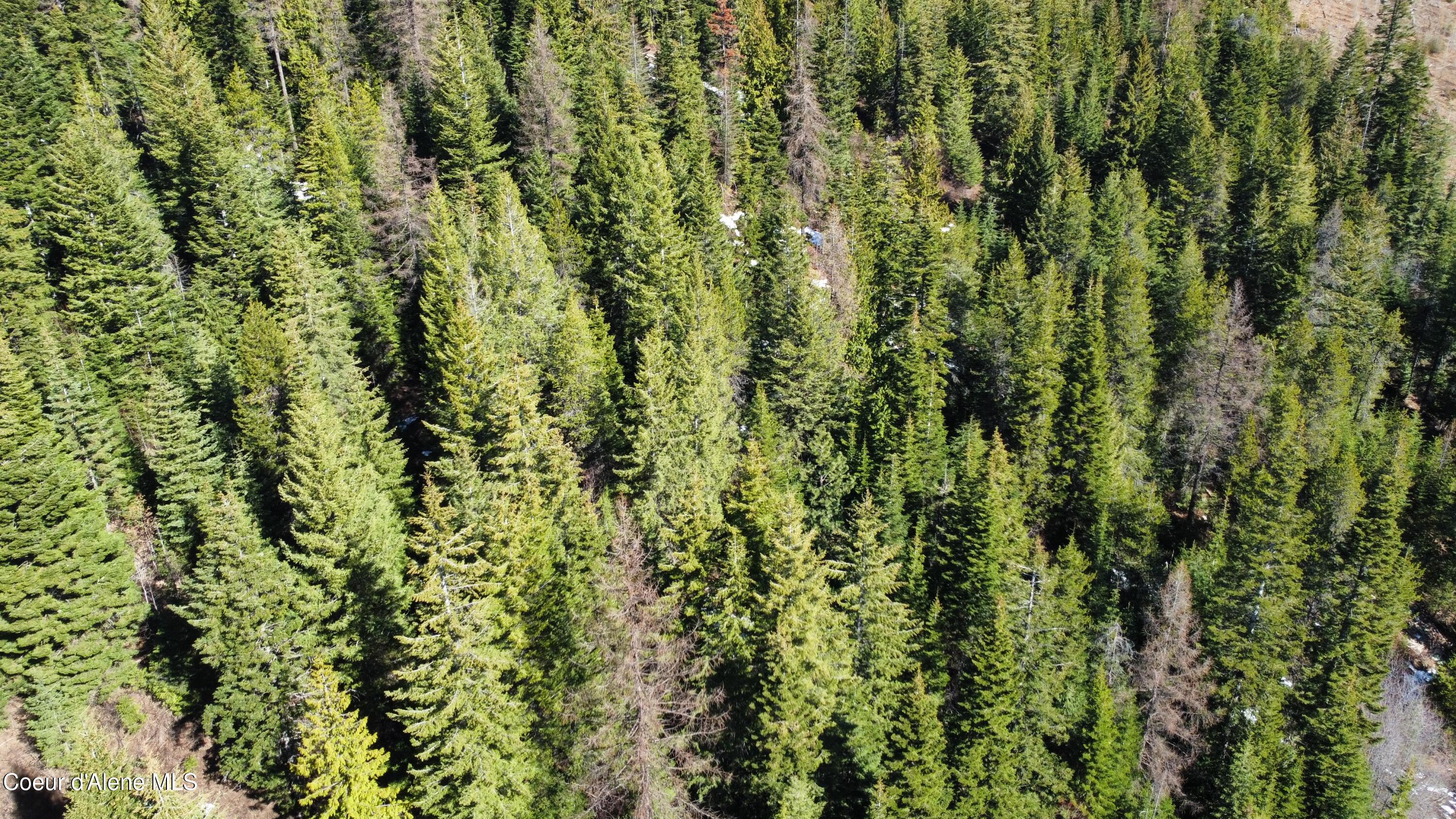 0 Adams Creek Road Fernwood, ID 83830 - Photo 11 of 13 dji_fly_20260409_100310_975_177575427797