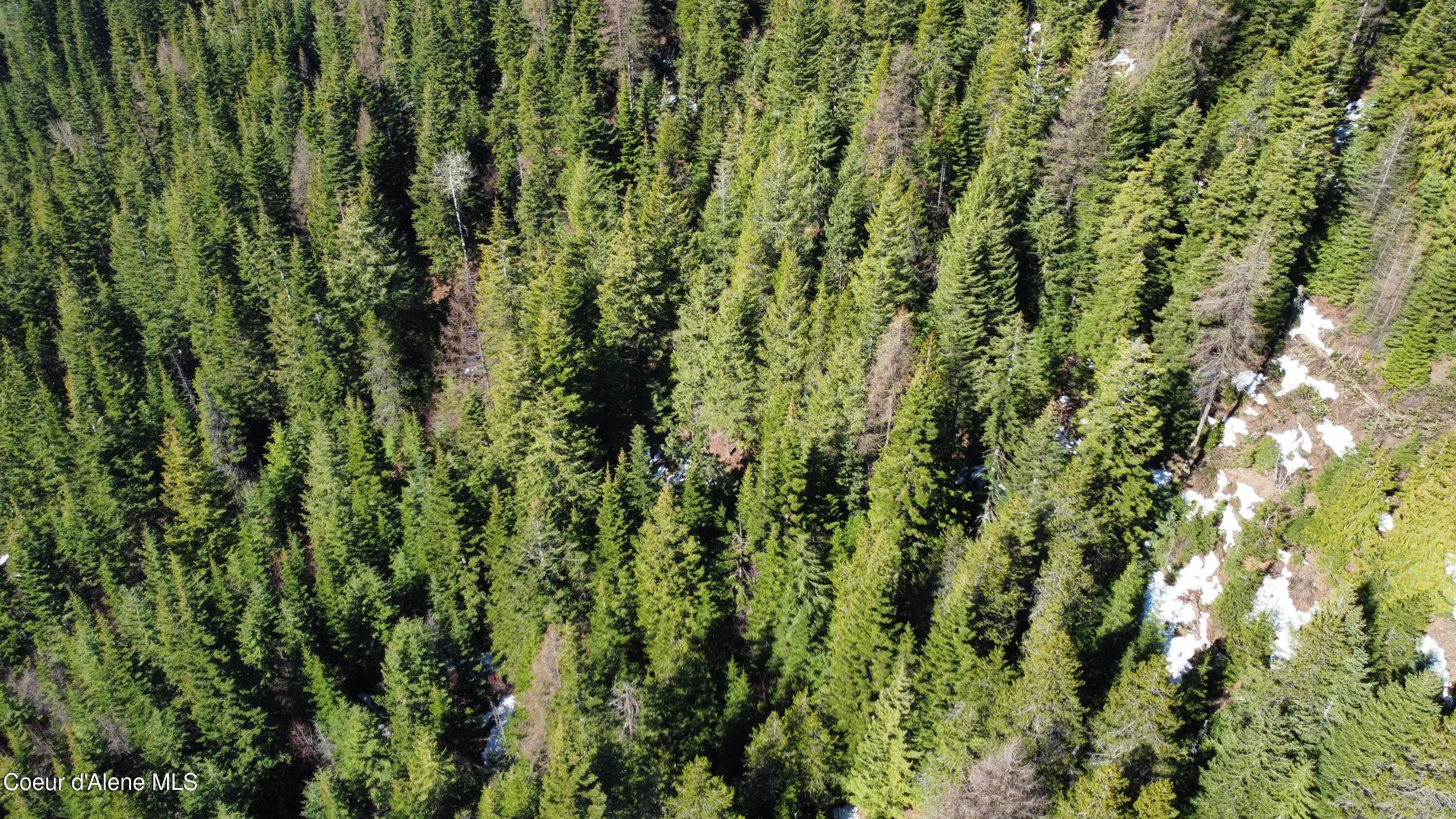 0 Adams Creek Road Fernwood, ID 83830 - Photo 12 of 13 dji_fly_20260409_100336_976_177575427083