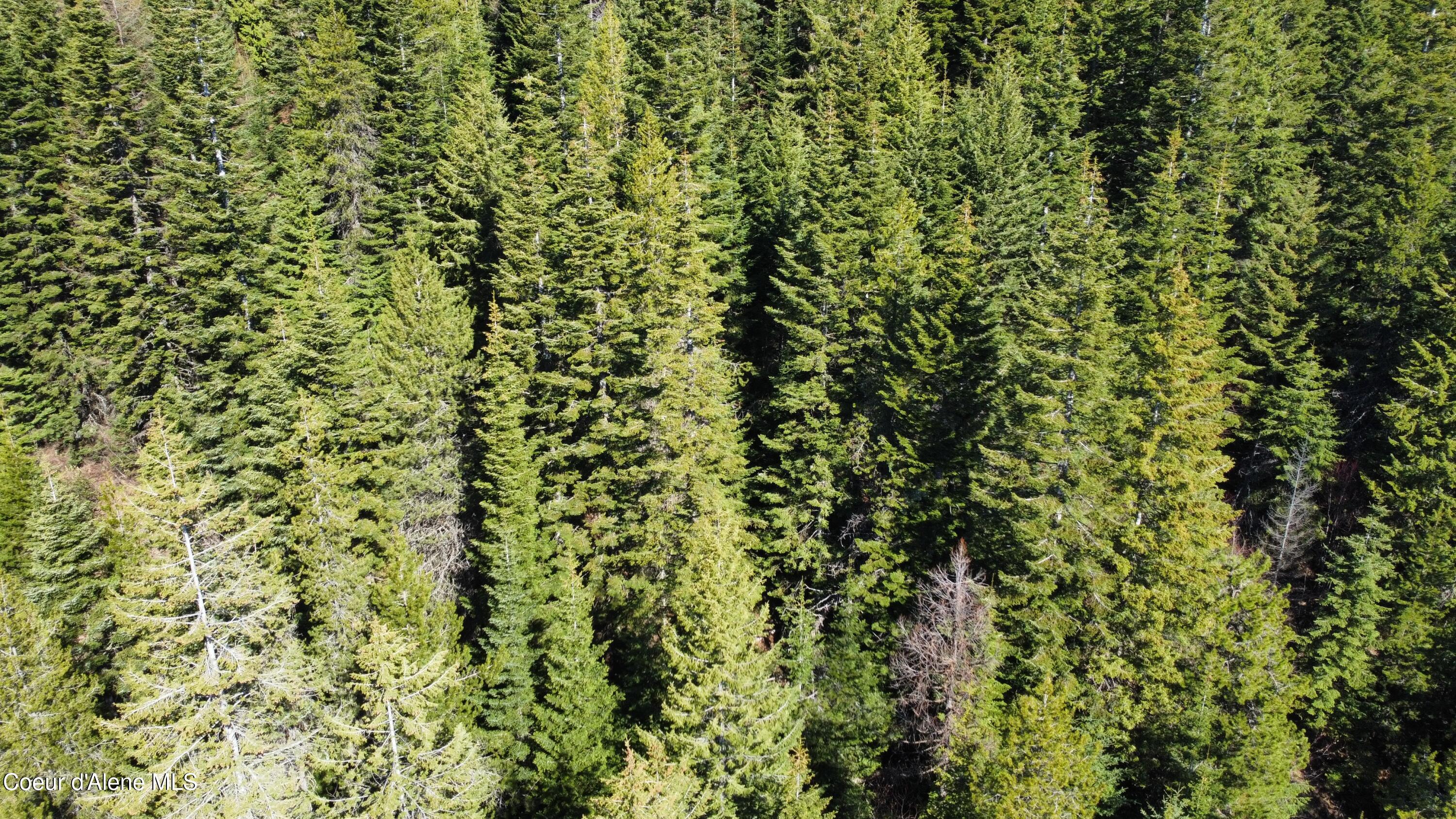 0 Adams Creek Road Fernwood, ID 83830 - Photo 13 of 13 dji_fly_20260409_100242_973_177575429582