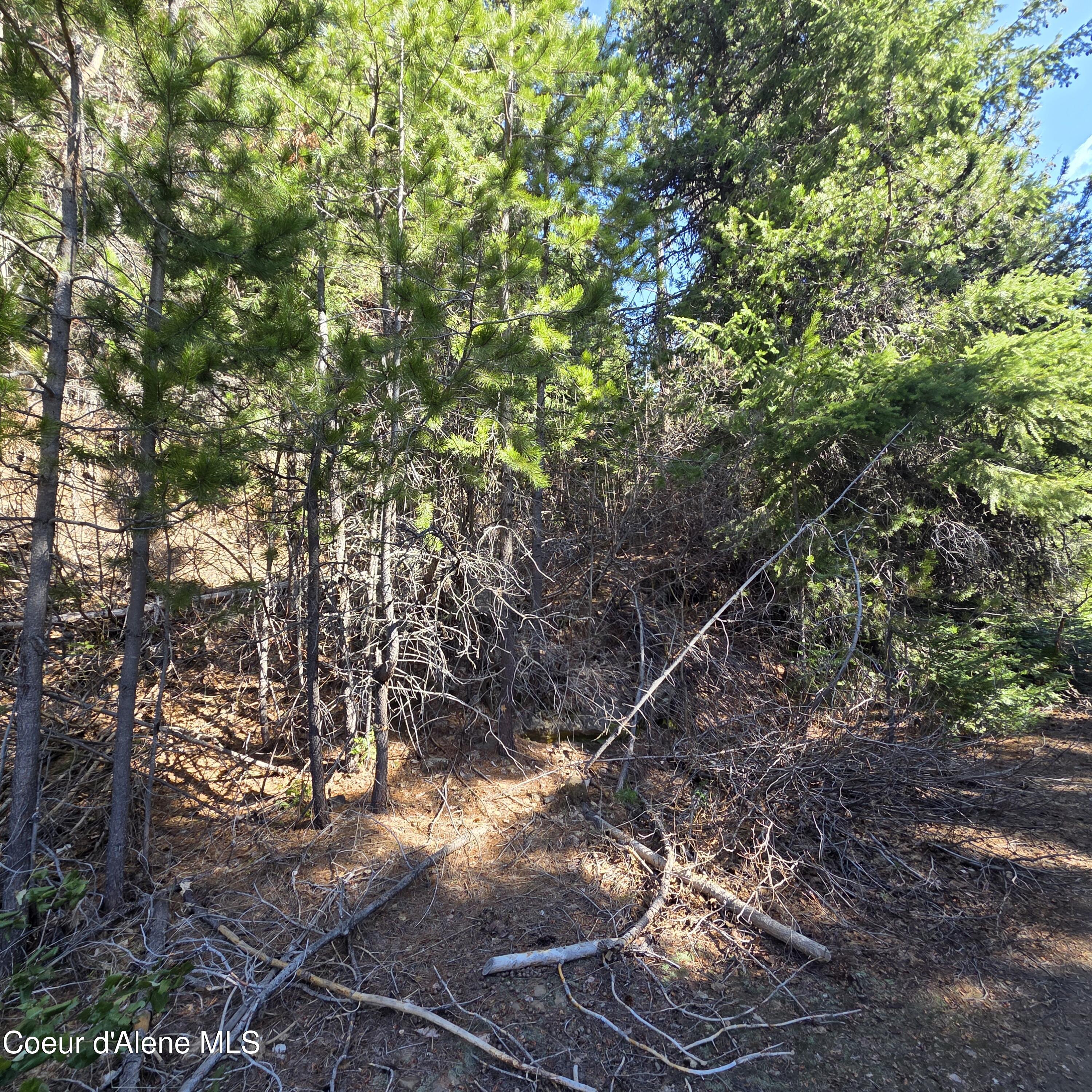 0 Adams Creek Road Fernwood, ID 83830 - Photo 2 of 13 20260409_101447