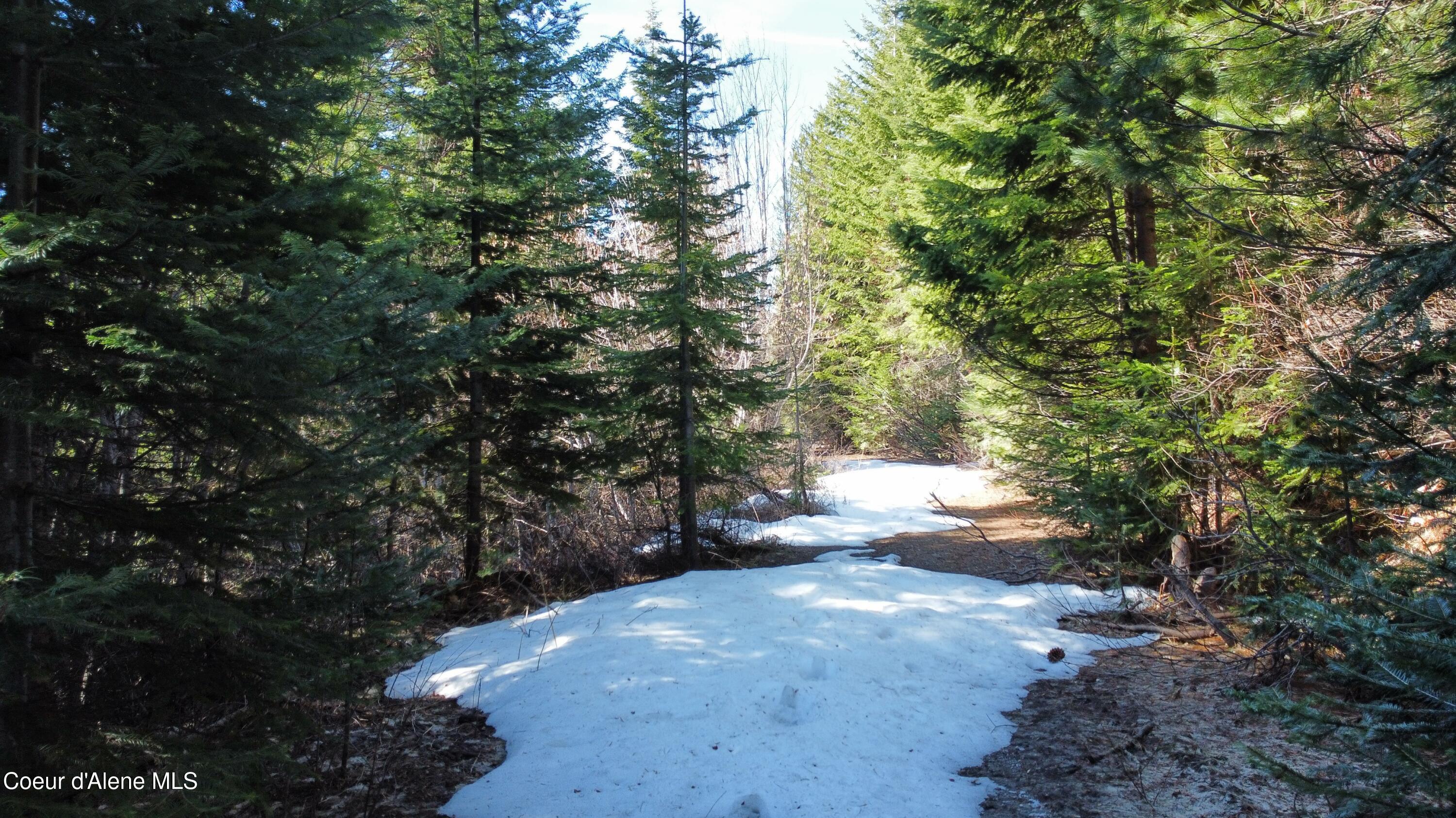 0 Adams Creek Road Fernwood, ID 83830 - Photo 3 of 13 dji_fly_20260409_101016_983_177575462479