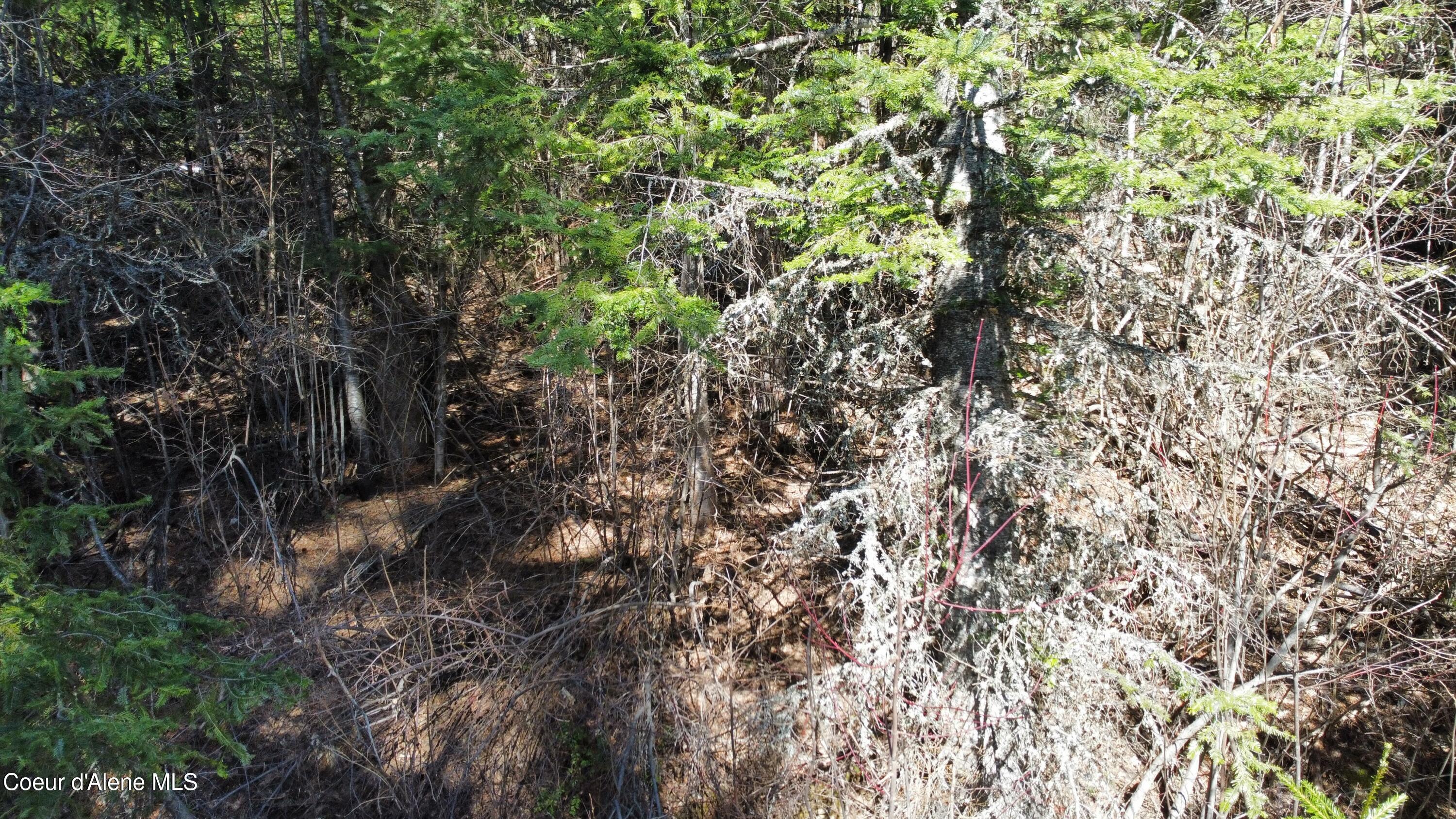 0 Adams Creek Road Fernwood, ID 83830 - Photo 4 of 13 dji_fly_20260409_100920_982_177575456791