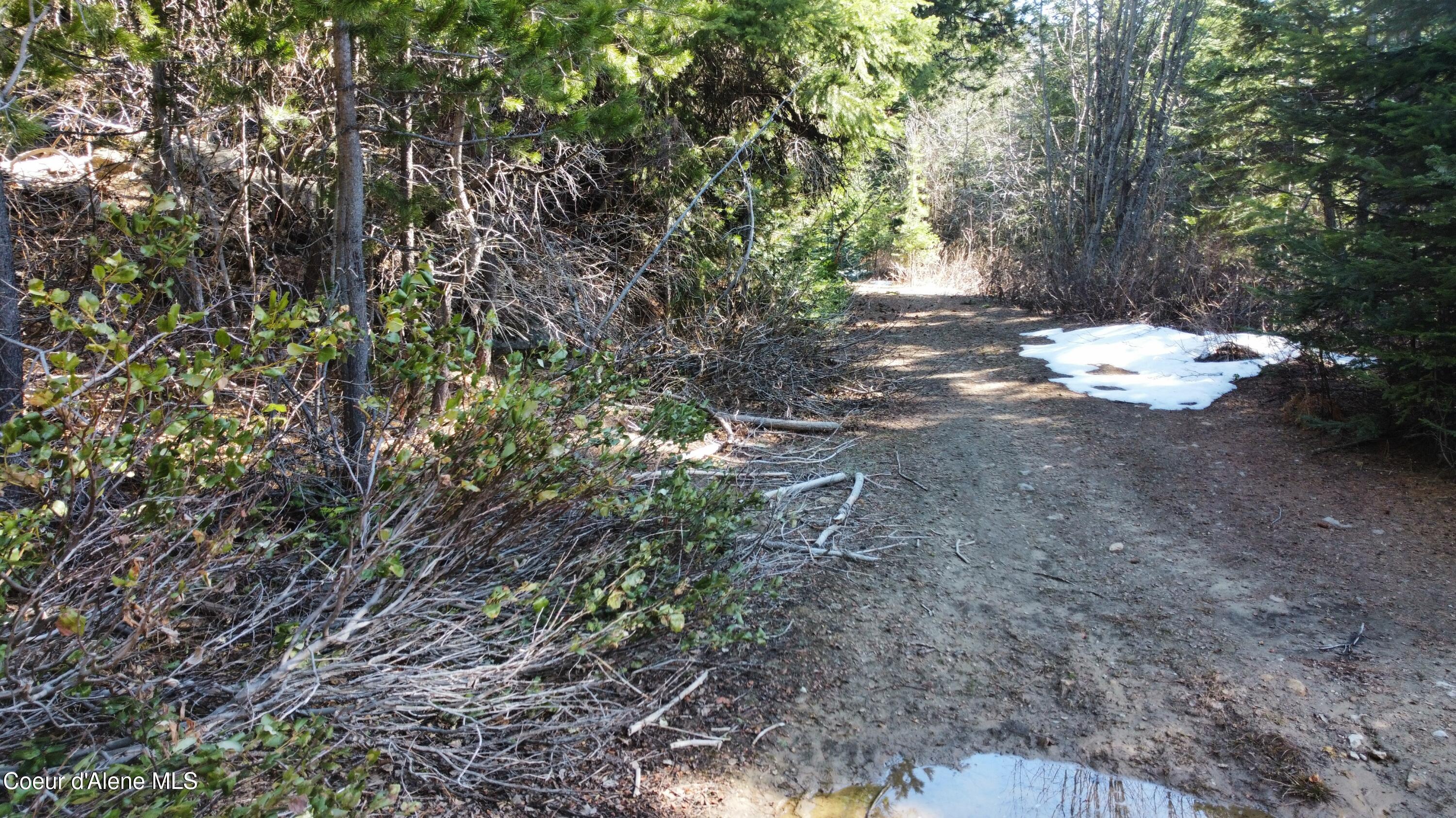 0 Adams Creek Road Fernwood, ID 83830 - Photo 5 of 13 dji_fly_20260409_100740_981_177575446935