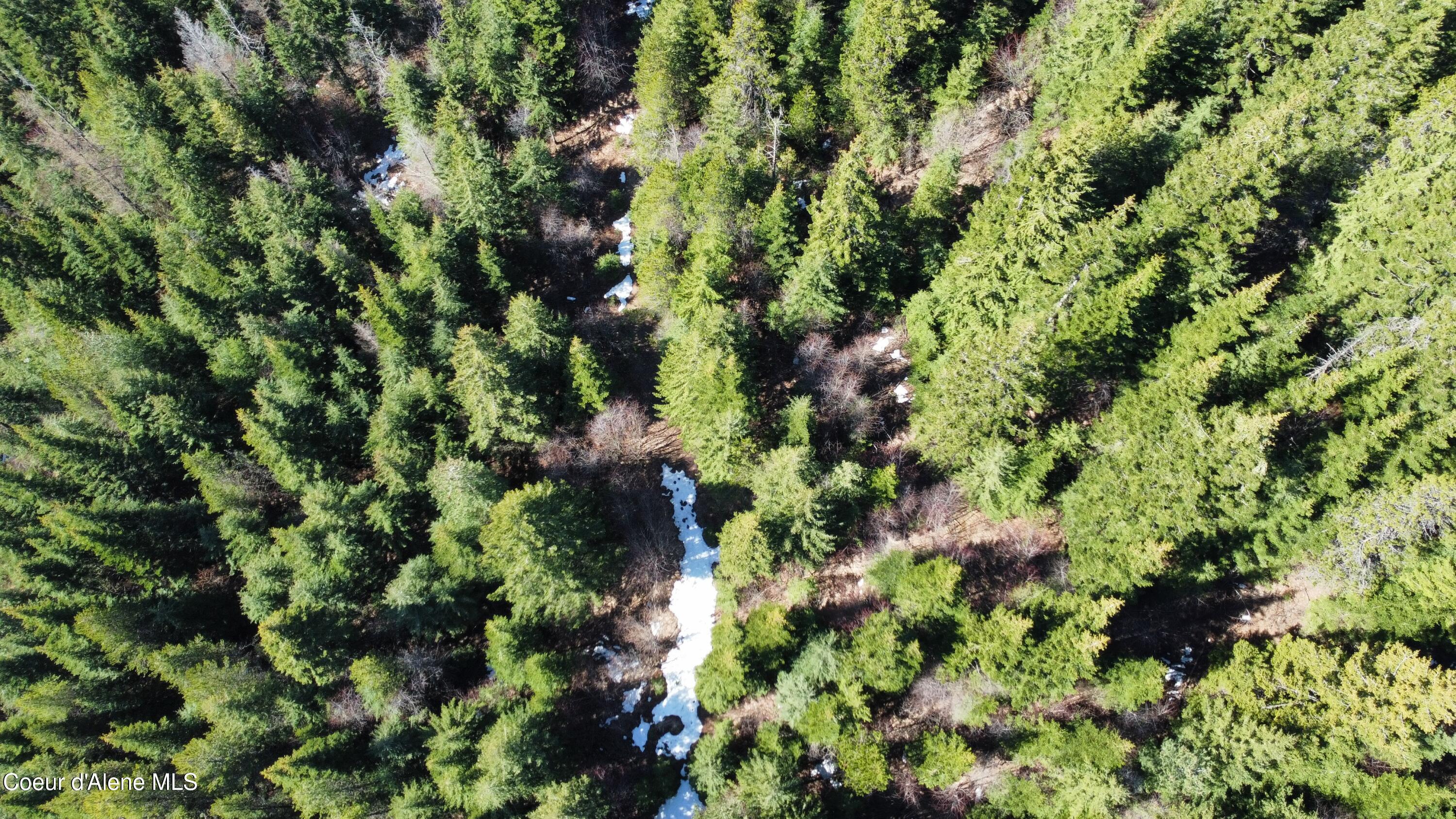 0 Adams Creek Road Fernwood, ID 83830 - Photo 6 of 13 dji_fly_20260409_100620_980_177575447295