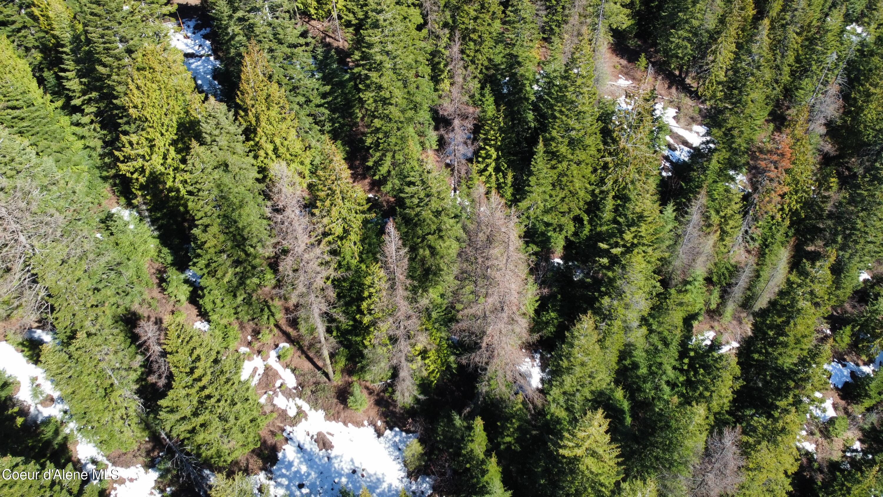 0 Adams Creek Road Fernwood, ID 83830 - Photo 7 of 13 dji_fly_20260409_100436_979_177575430875