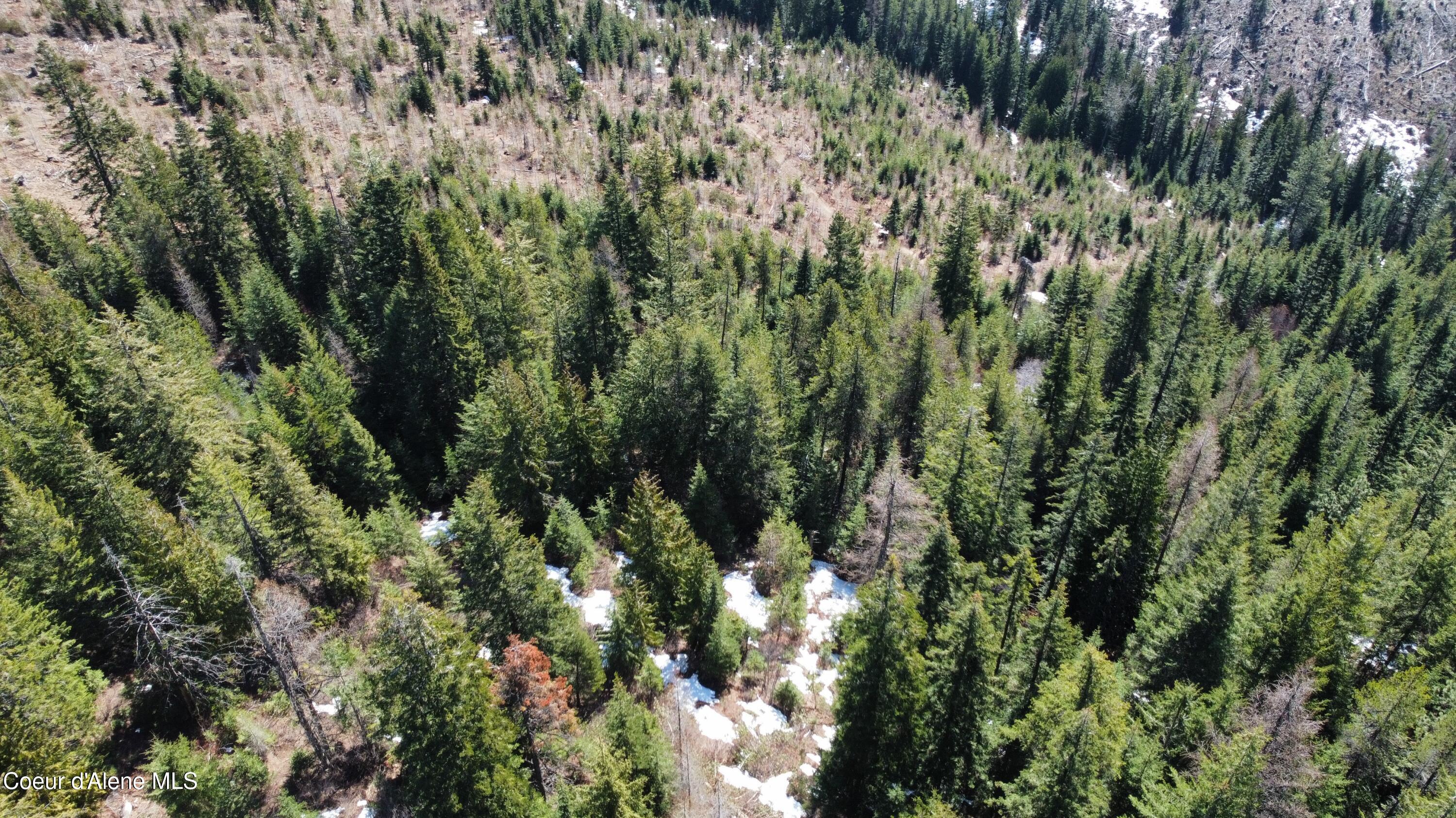 0 Adams Creek Road Fernwood, ID 83830 - Photo 8 of 13 dji_fly_20260409_100410_978_177575426342