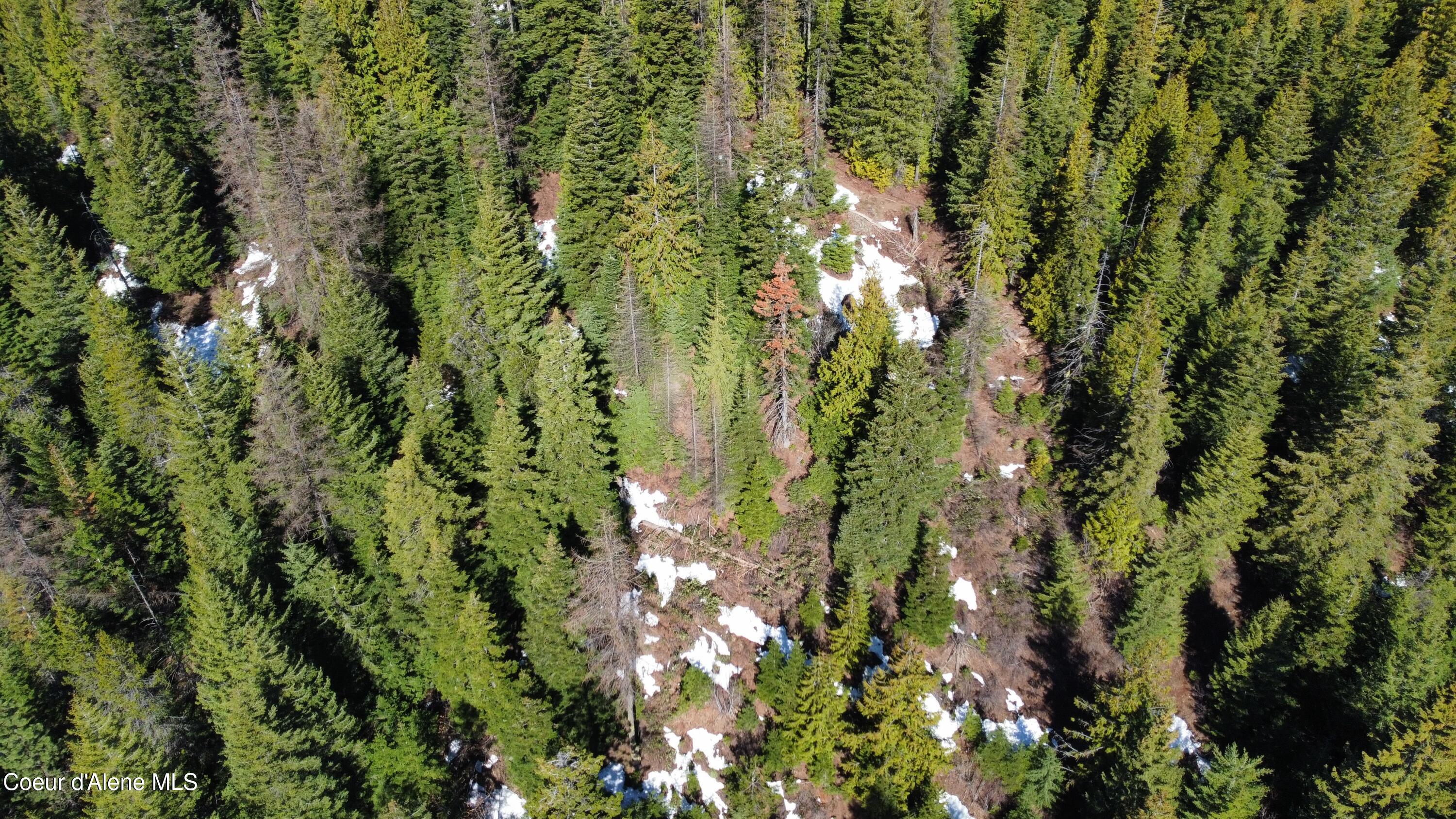 0 Adams Creek Road Fernwood, ID 83830 - Photo 9 of 13 dji_fly_20260409_100346_977_177575426755