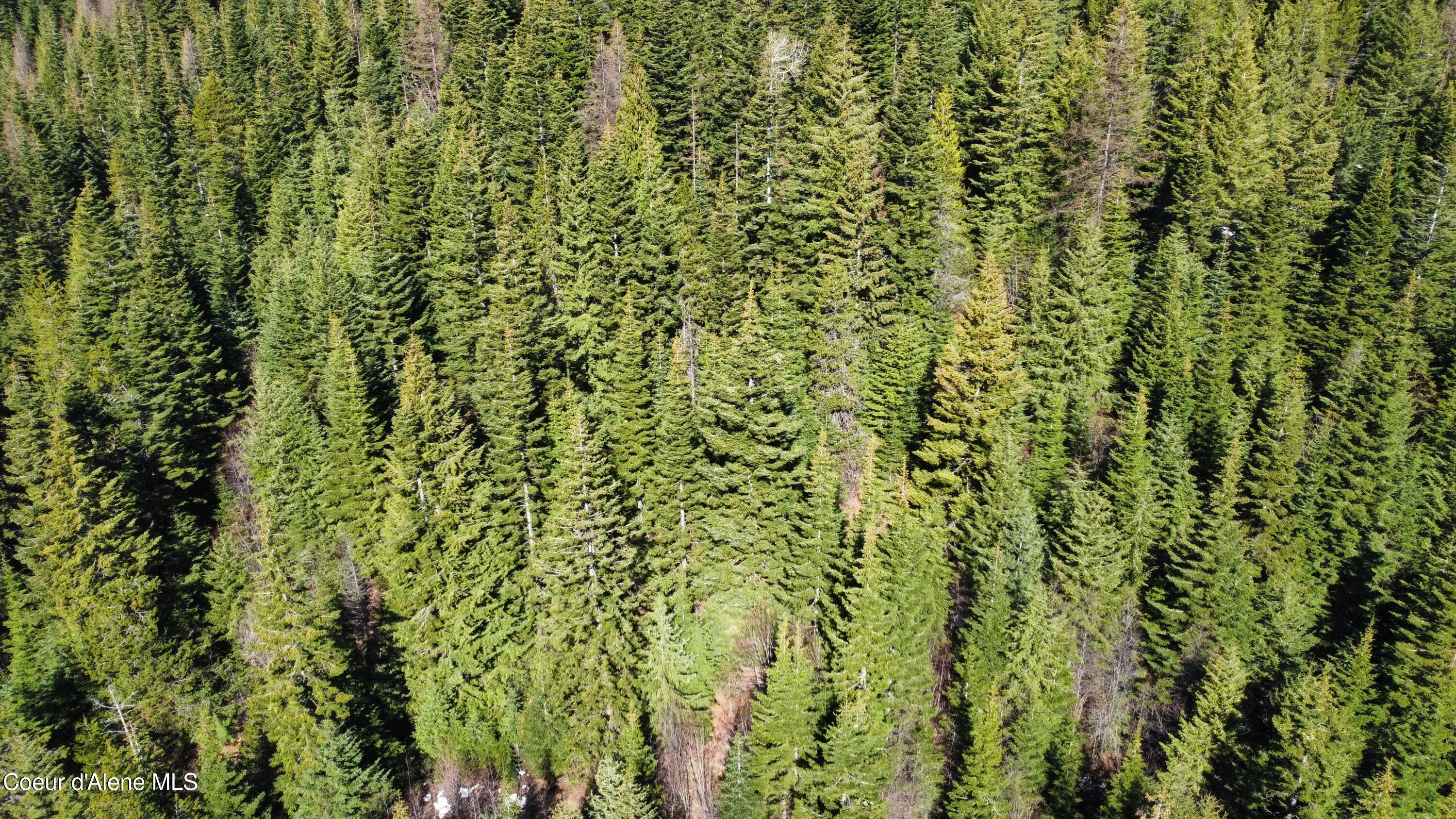 0 Adams Creek Road Fernwood, ID 83830 - Photo 10 of 13 dji_fly_20260409_100258_974_177575428922