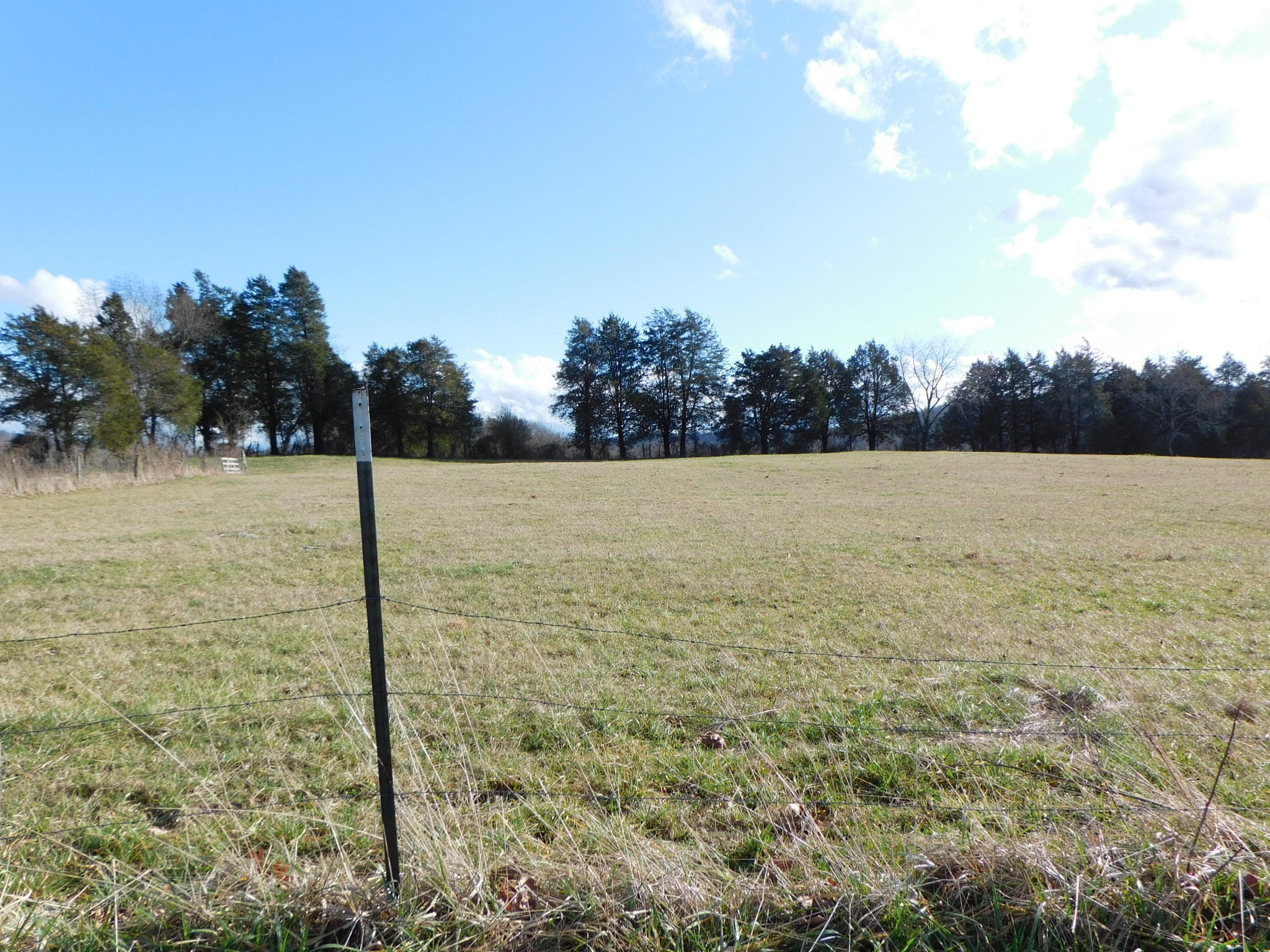 280 Gene Gray Road Monticello, KY 42633 - Photo 52 of 71 DSCI0403