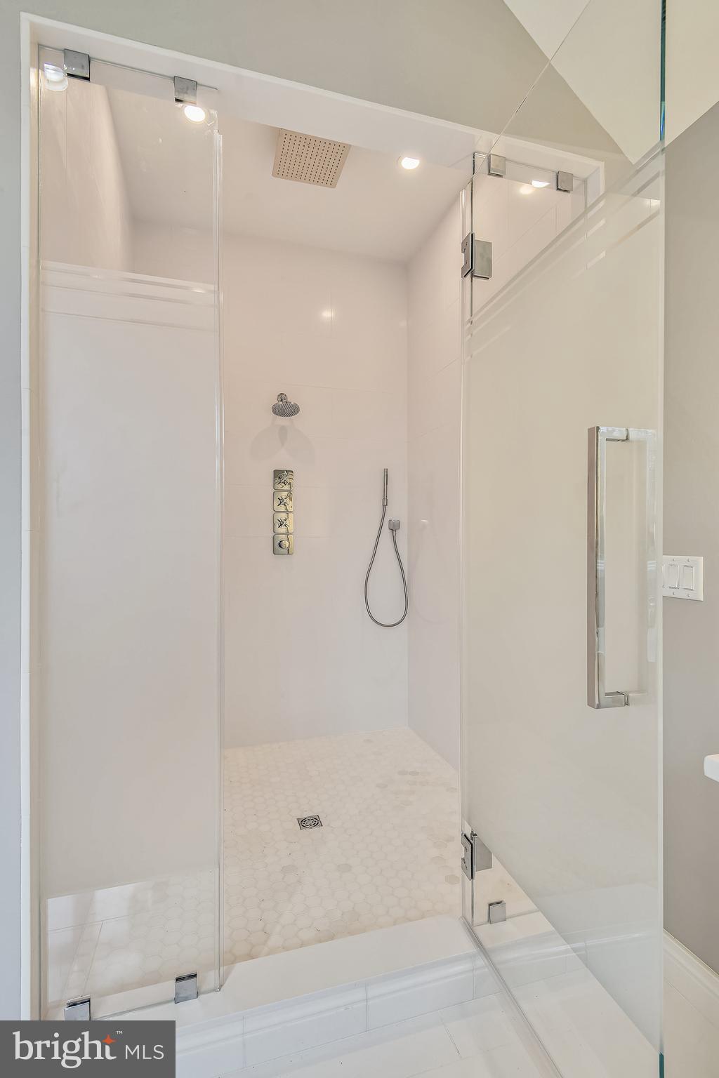680 South River Landing Road Edgewater, MD 21037 - Photo 58 of 83 Silestone shower behind opaque etched glass door