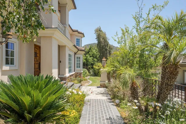a view of a pathway with plants and large trees