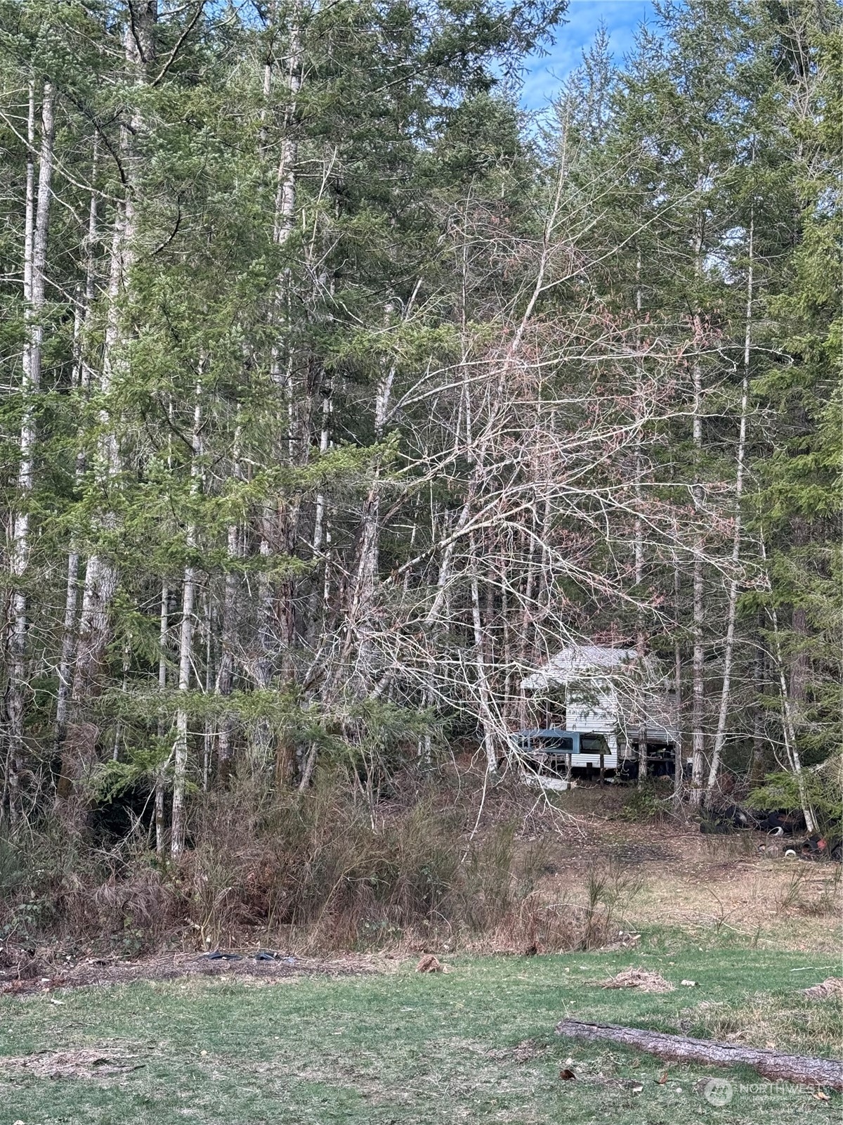 8985 Southwest Lake Flora Road Bremerton, WA 98312 - Photo 1 of 1 a car parked in front of a road