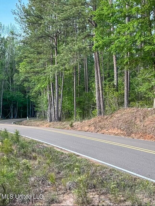 0 Ashley Road Brandon, MS 39042 - Photo 17 of 19 06B59A18-B7D9-4B90-8309-AD5588EE4393