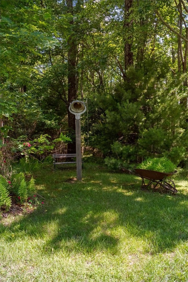 1218 Waterfall Road Sparta, NC 28675 - Photo 6 of 50