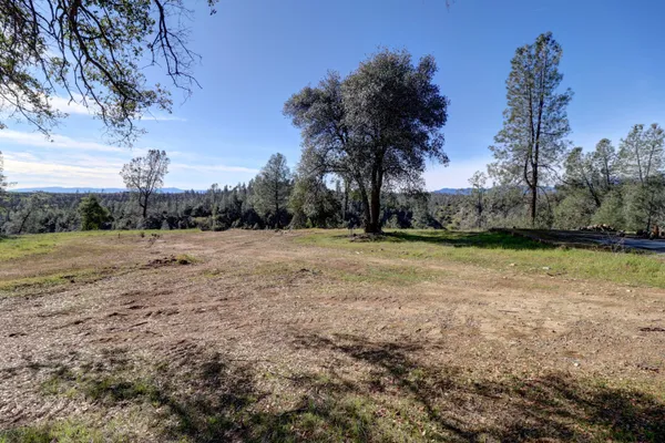 a view of a field with trees in the background