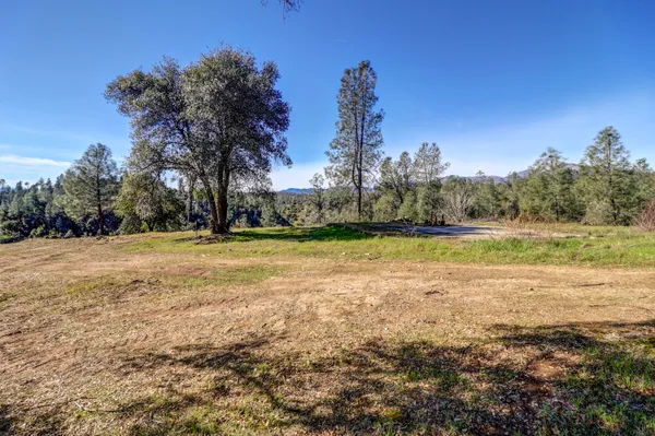 a view of dirt yard with a tree
