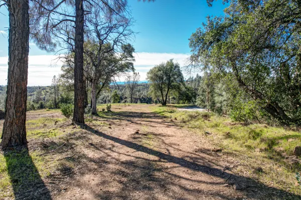 a view of an outdoor space