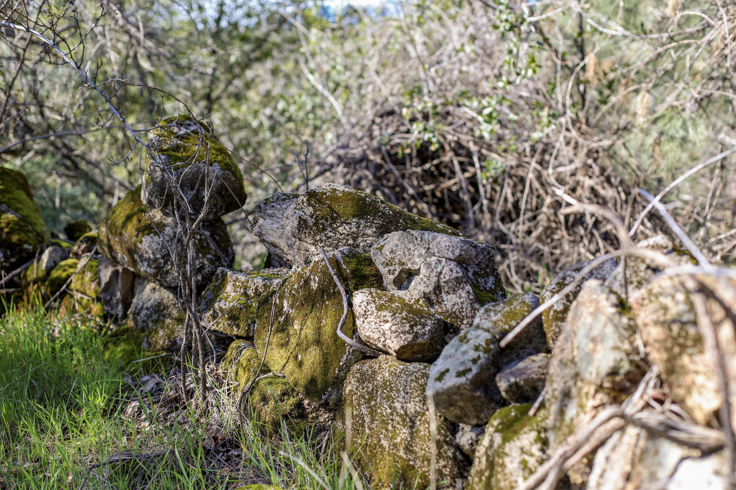 7555 Clear Canyon Road Redding, CA 96001 - Photo 17 of 30 14-IMG_8354