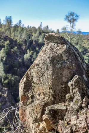 a view of swimming pool with outdoor seating and trees in the background
