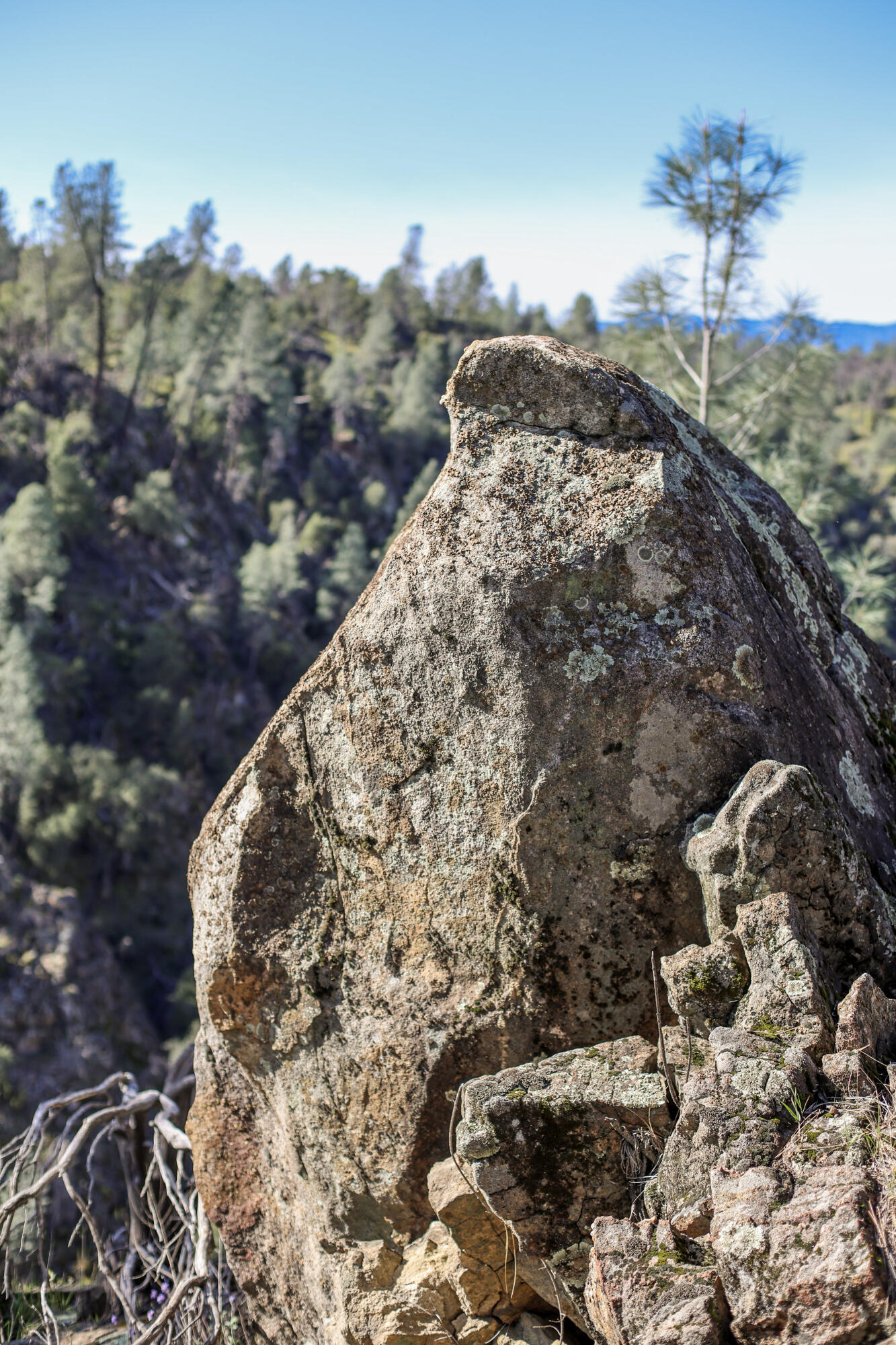 7555 Clear Canyon Road Redding, CA 96001 - Photo 24 of 30 21-IMG_8375